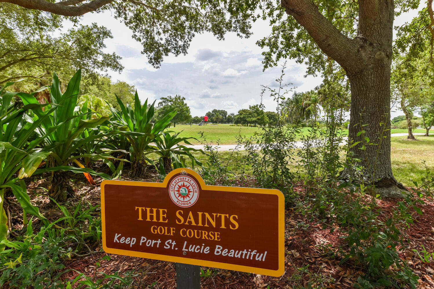 MLS #RX-11130155 image #6