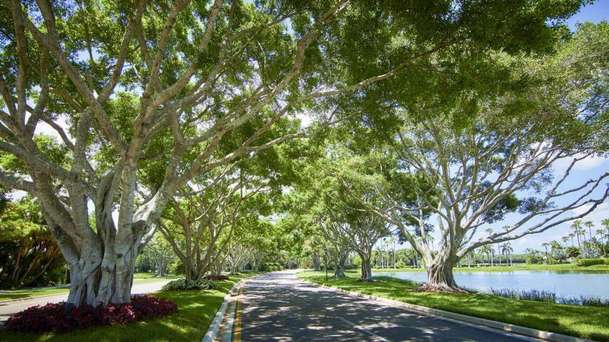 MLS #RX-11130360 image #37