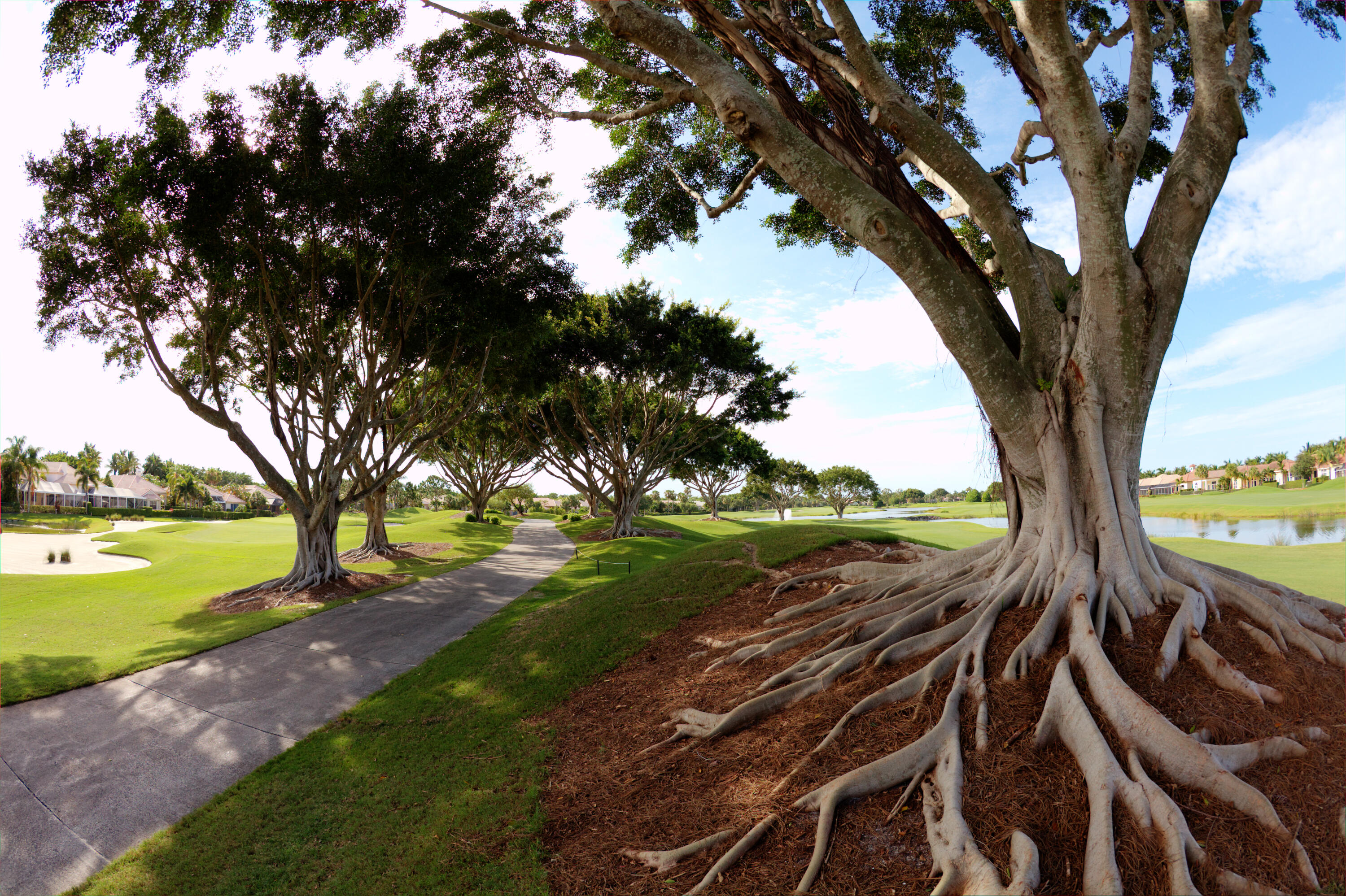 MLS #RX-11130494 image #95