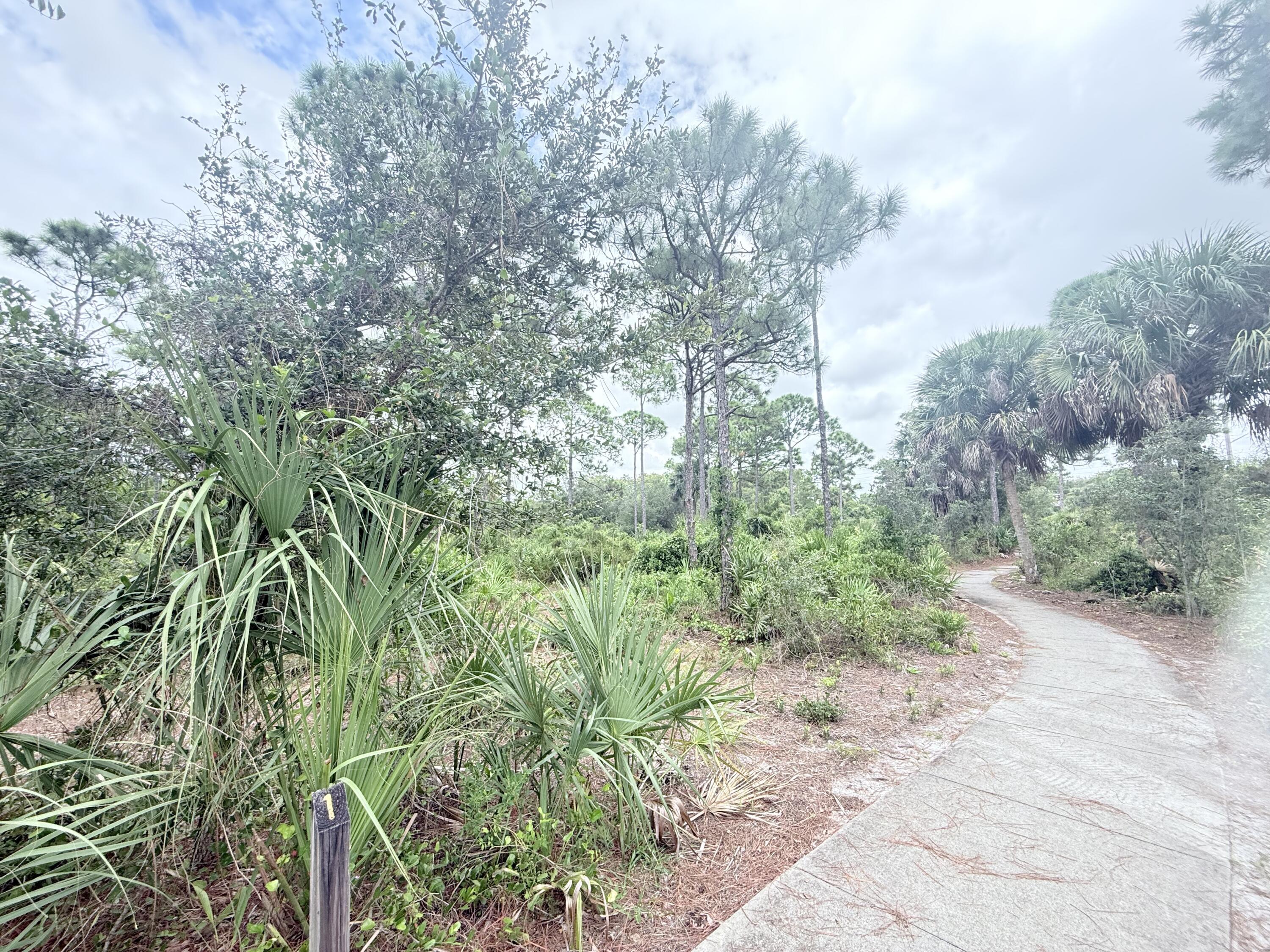 MLS #RX-11130499 image #29