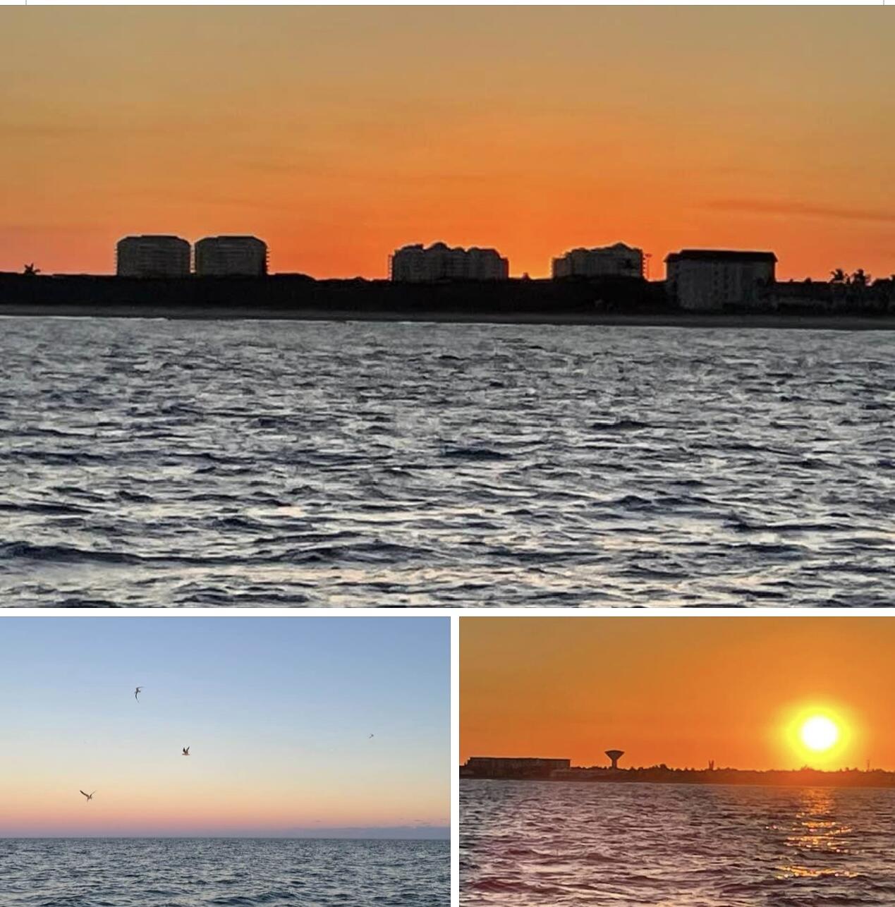 MLS #RX-11130581 image #56