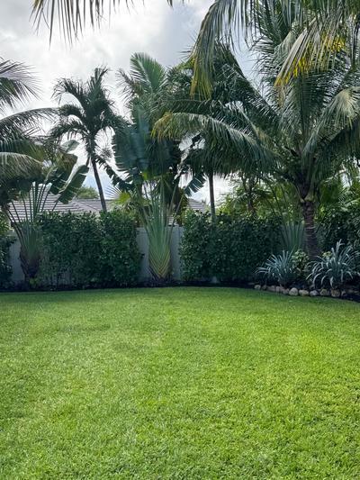 MLS #RX-11130592 image #8