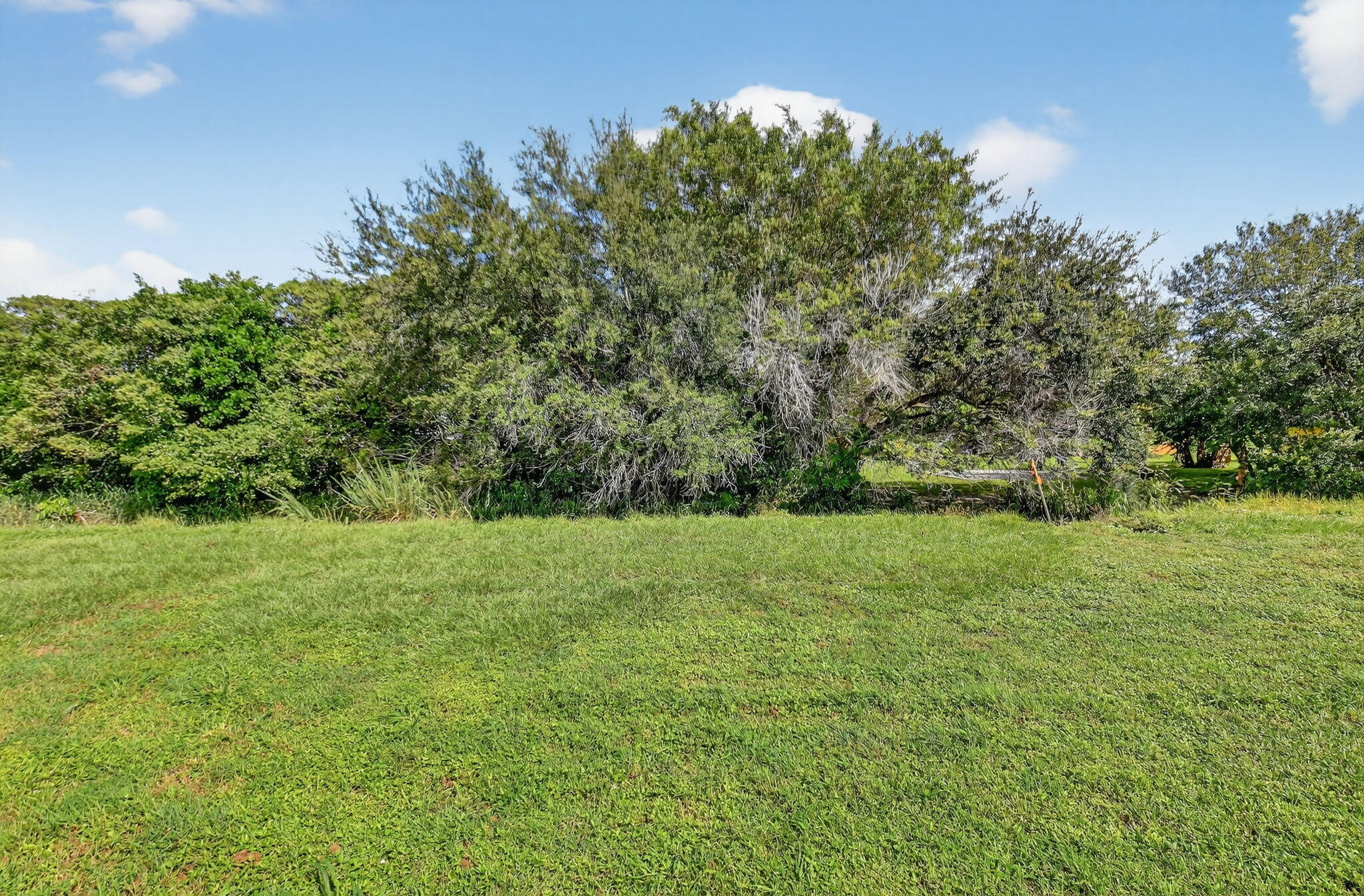 MLS #RX-11130751 image #34