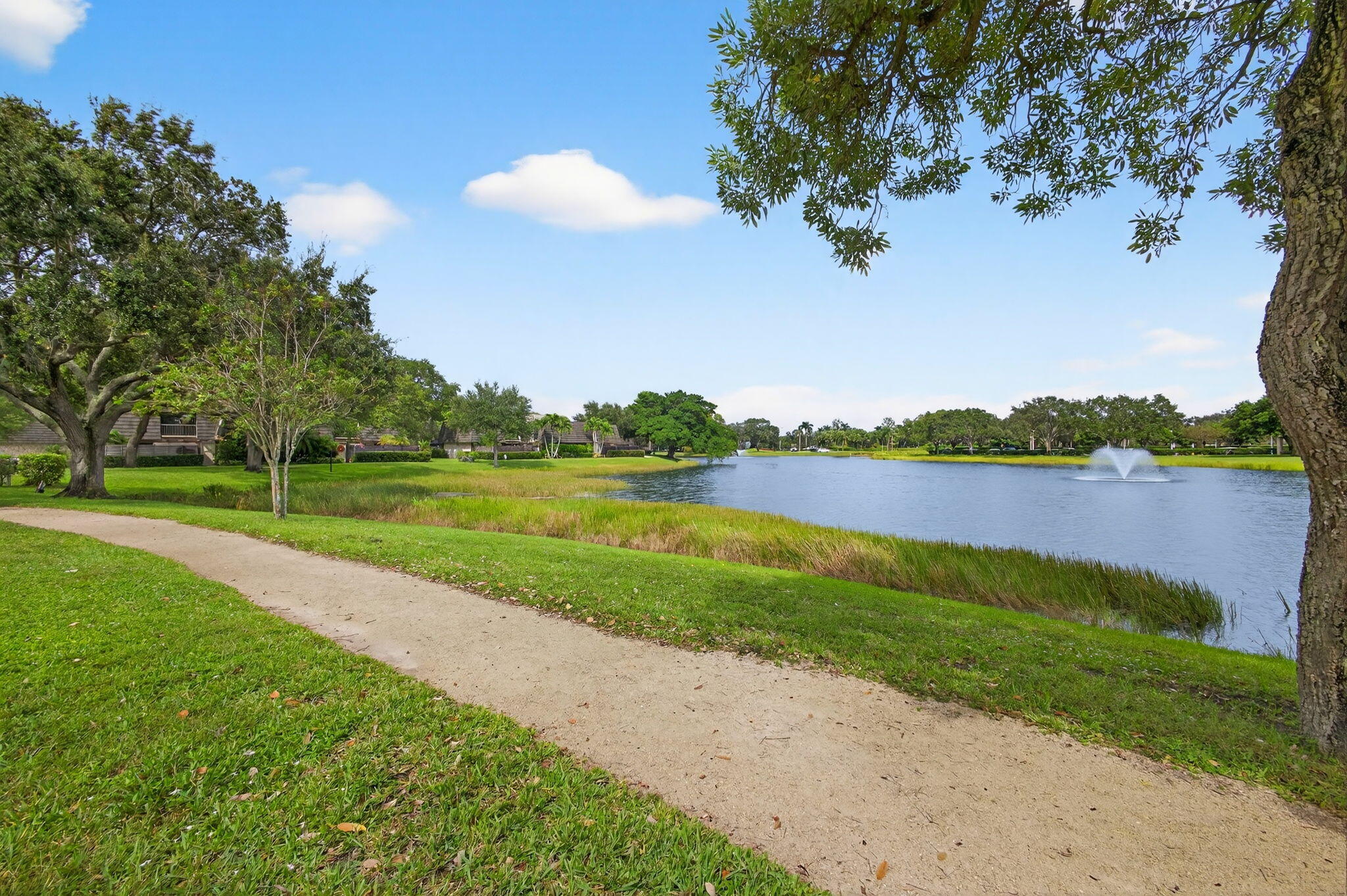 MLS #RX-11130851 image #1