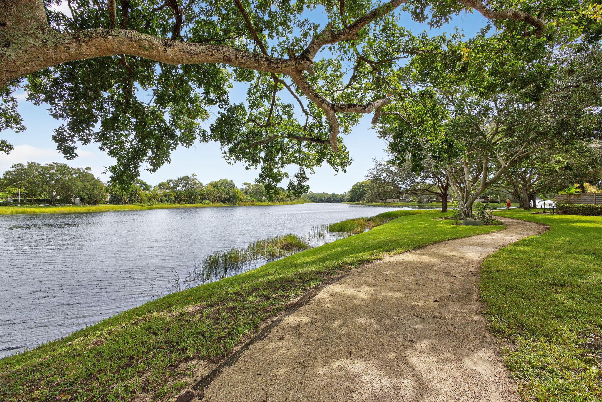 MLS #RX-11130851 image #4