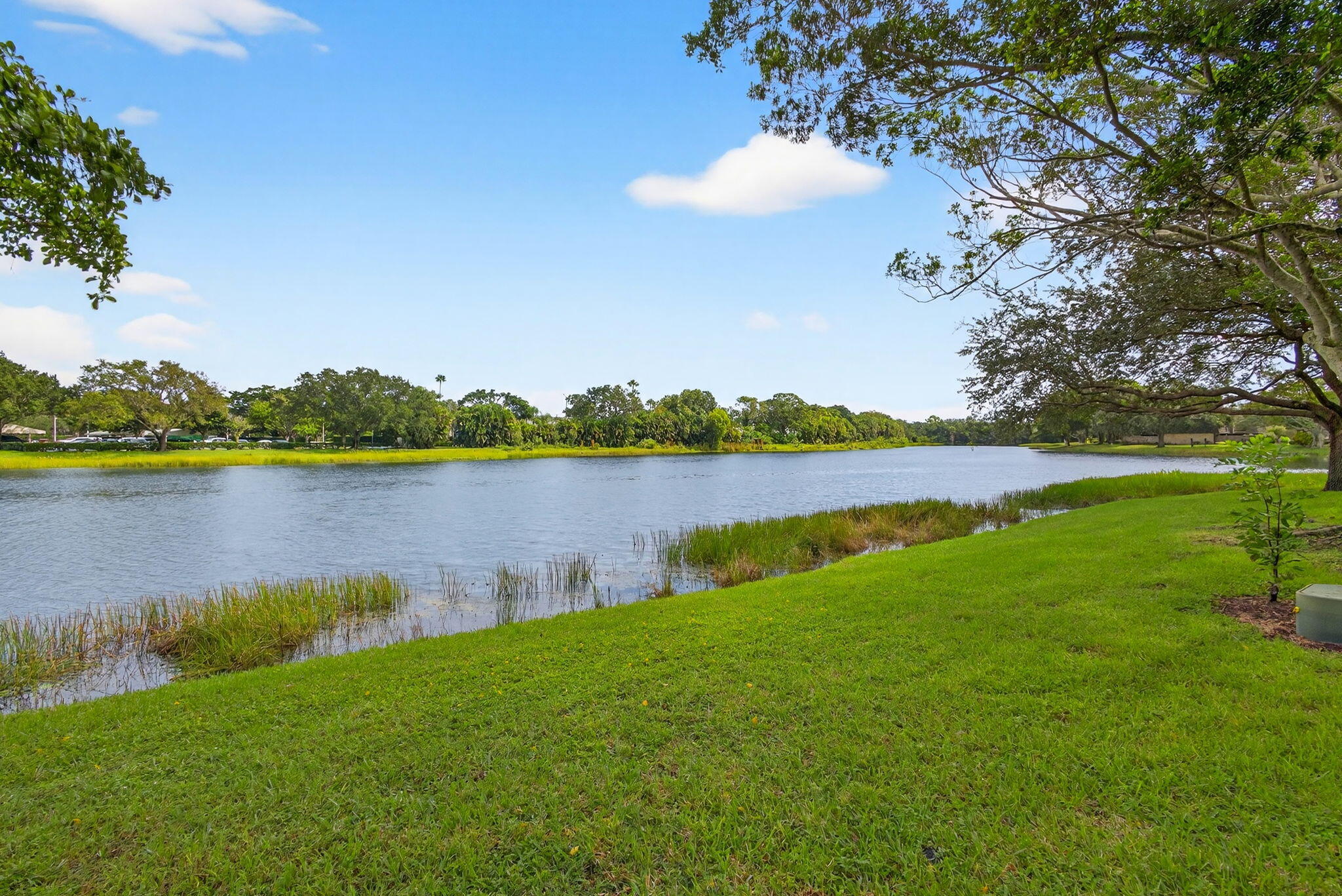 MLS #RX-11130851 image #6