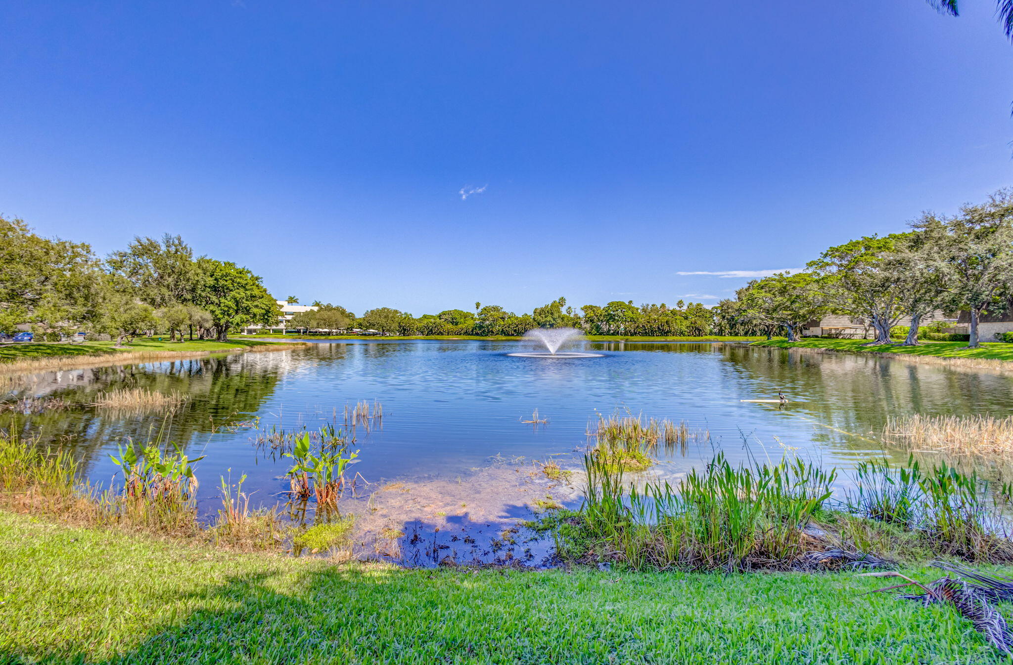 MLS #RX-11130851 image #60