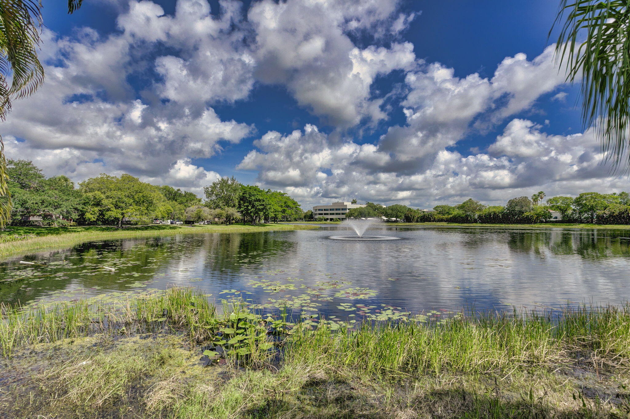 MLS #RX-11130851 image #62