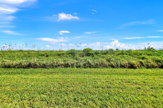 MLS #RX-10491769 image #7