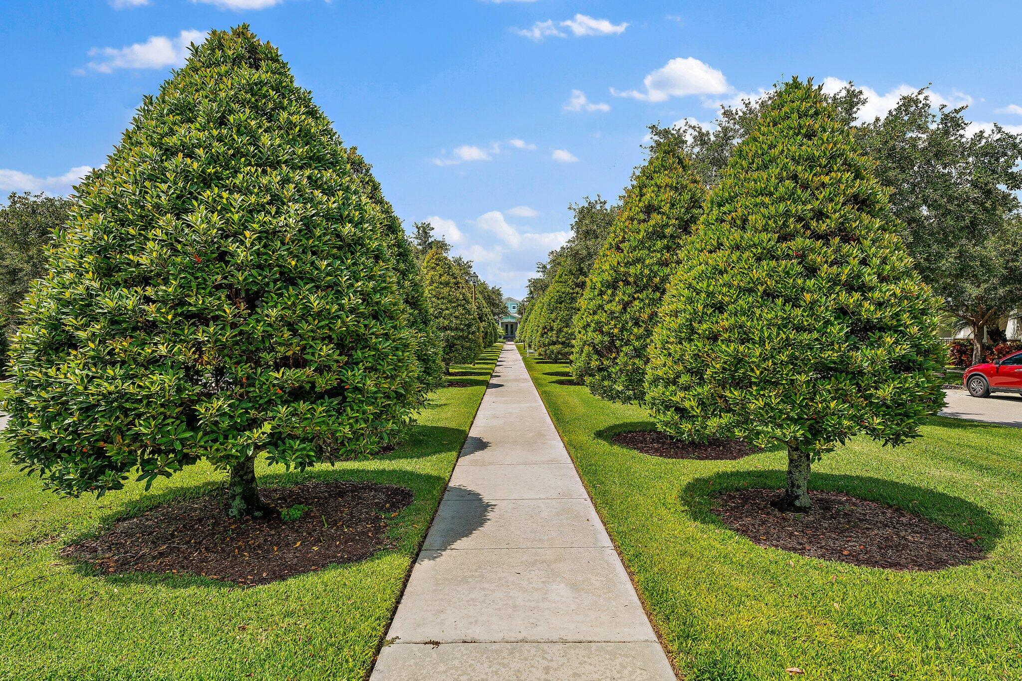 MLS #RX-11130968 image #60