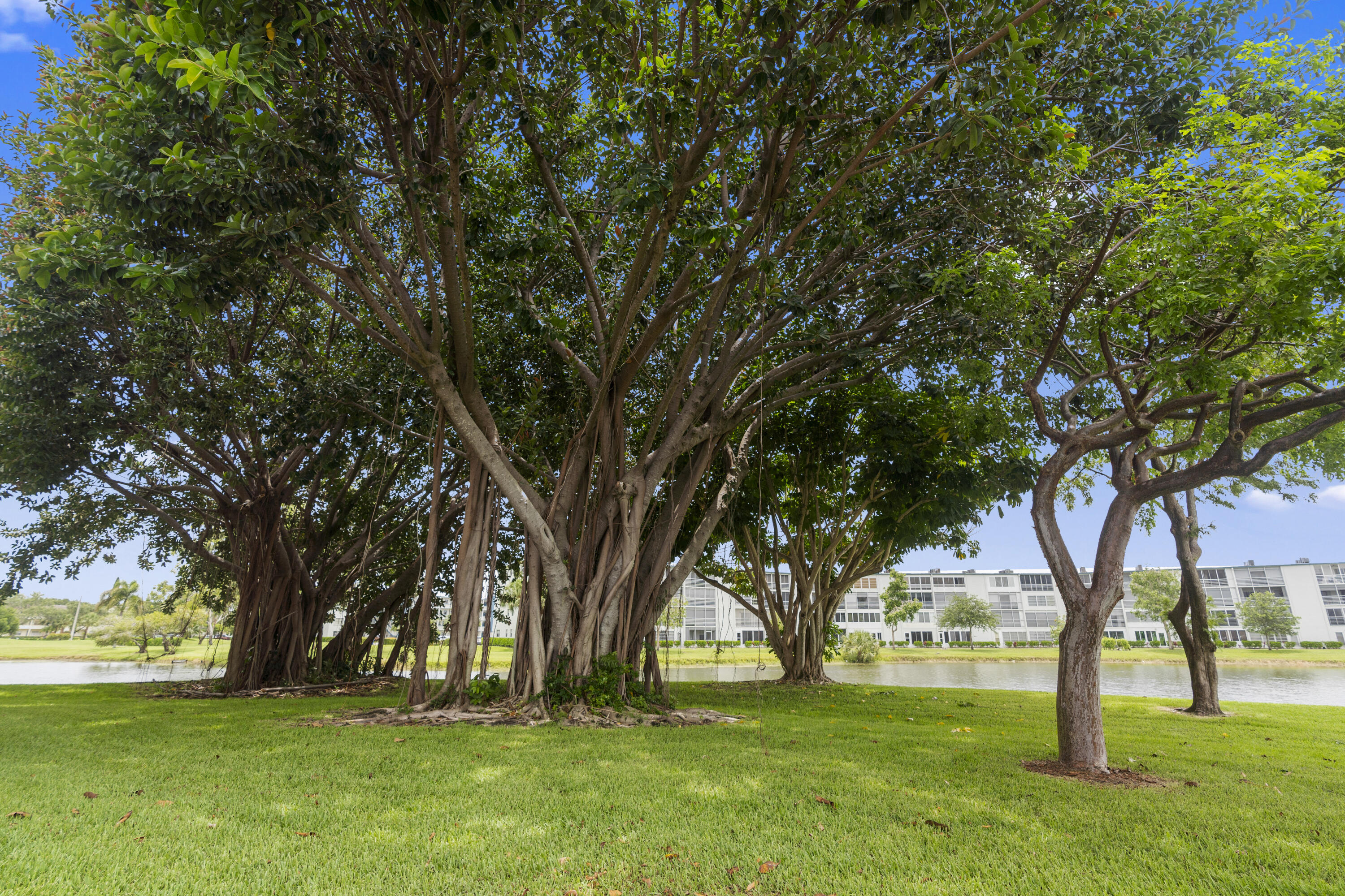 MLS #RX-11131096 image #28