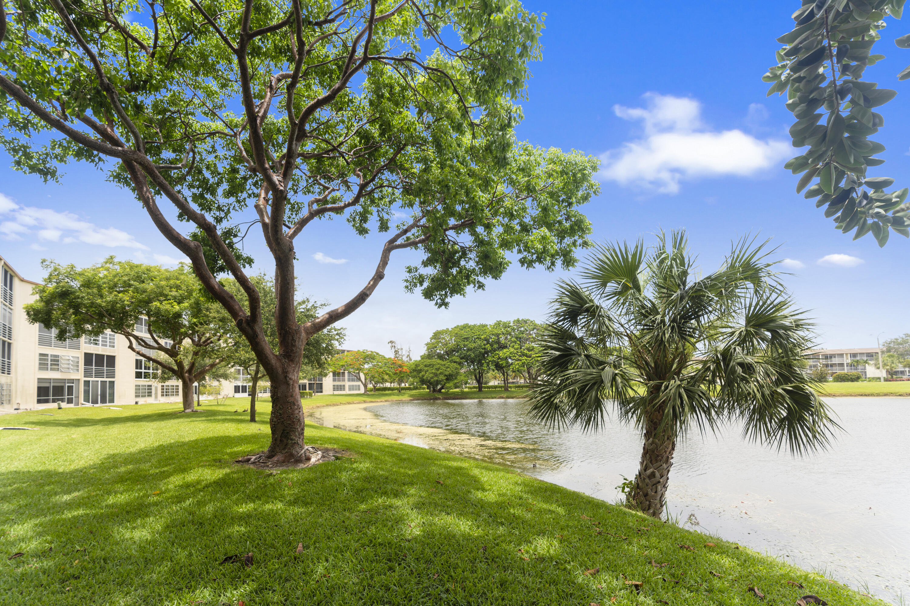 MLS #RX-11131096 image #29