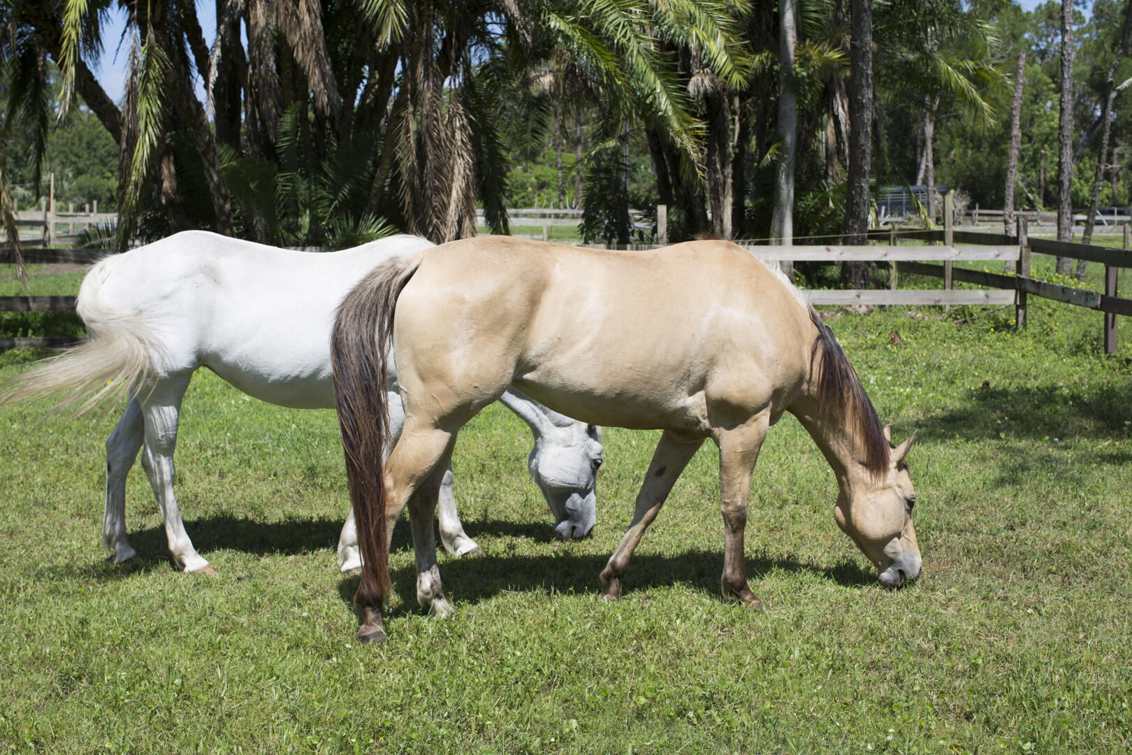 MLS #RX-11131113 image #65