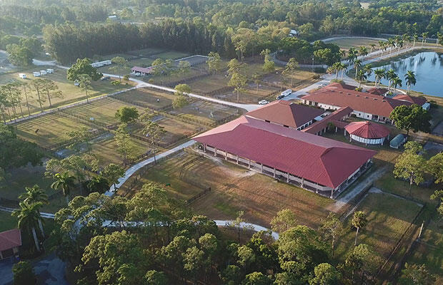 MLS #RX-11131113 image #70