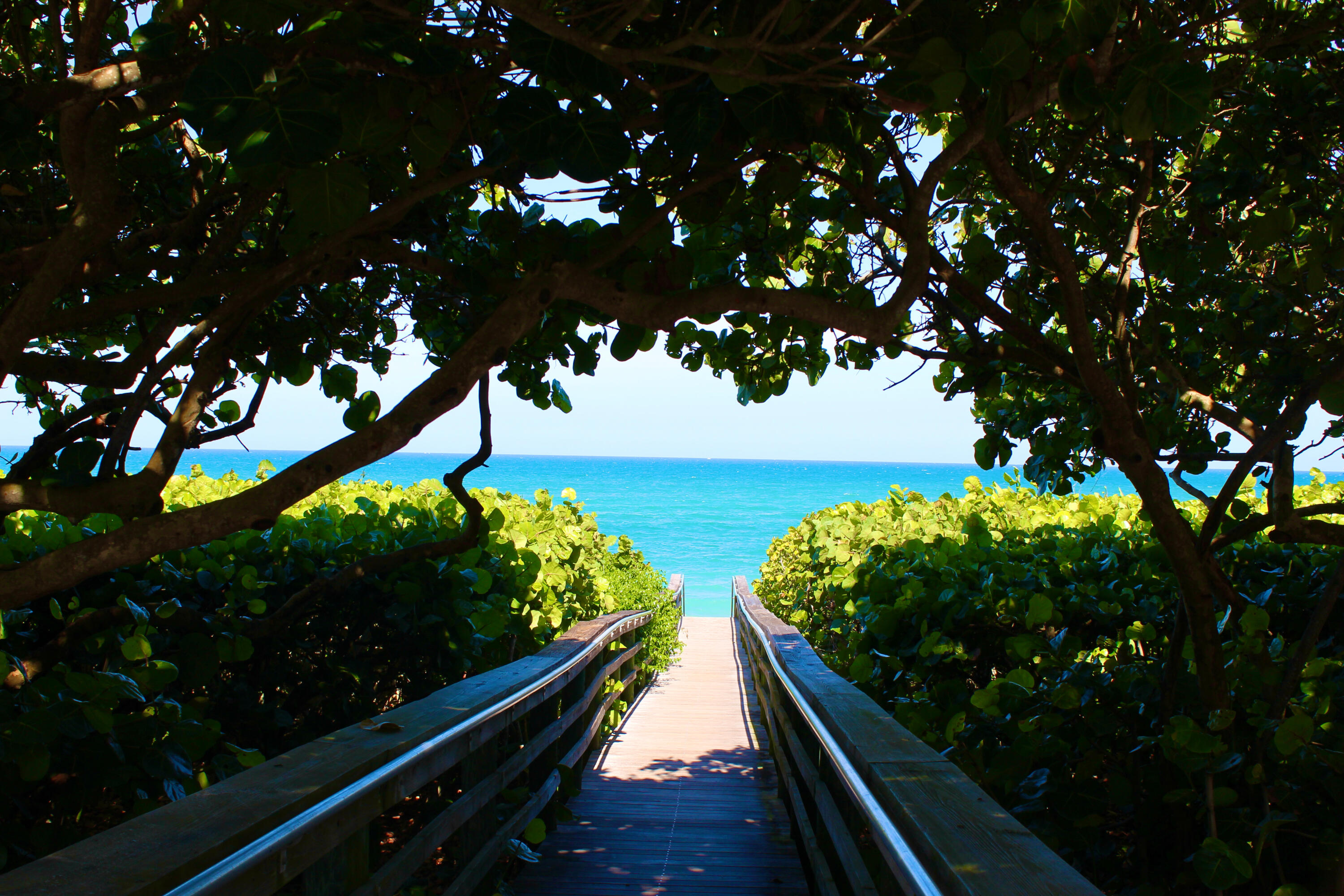 MLS #RX-11131113 image #79