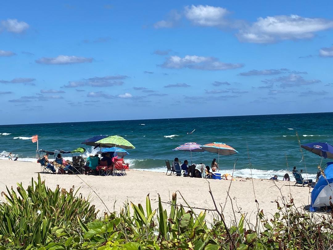 MLS #RX-11131188 image #16