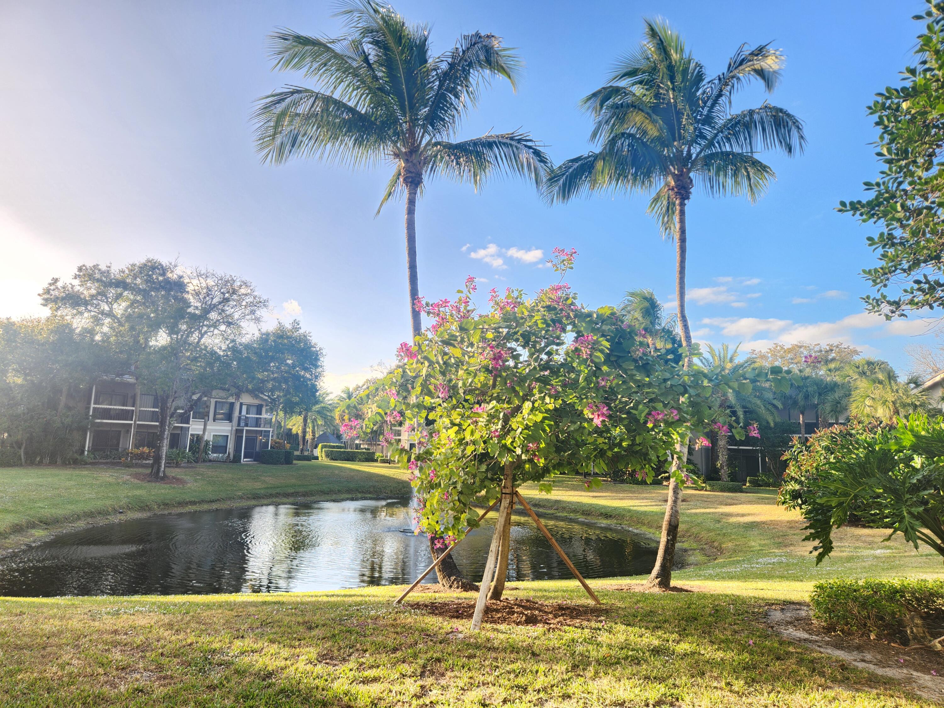 MLS #RX-11131244 image #35