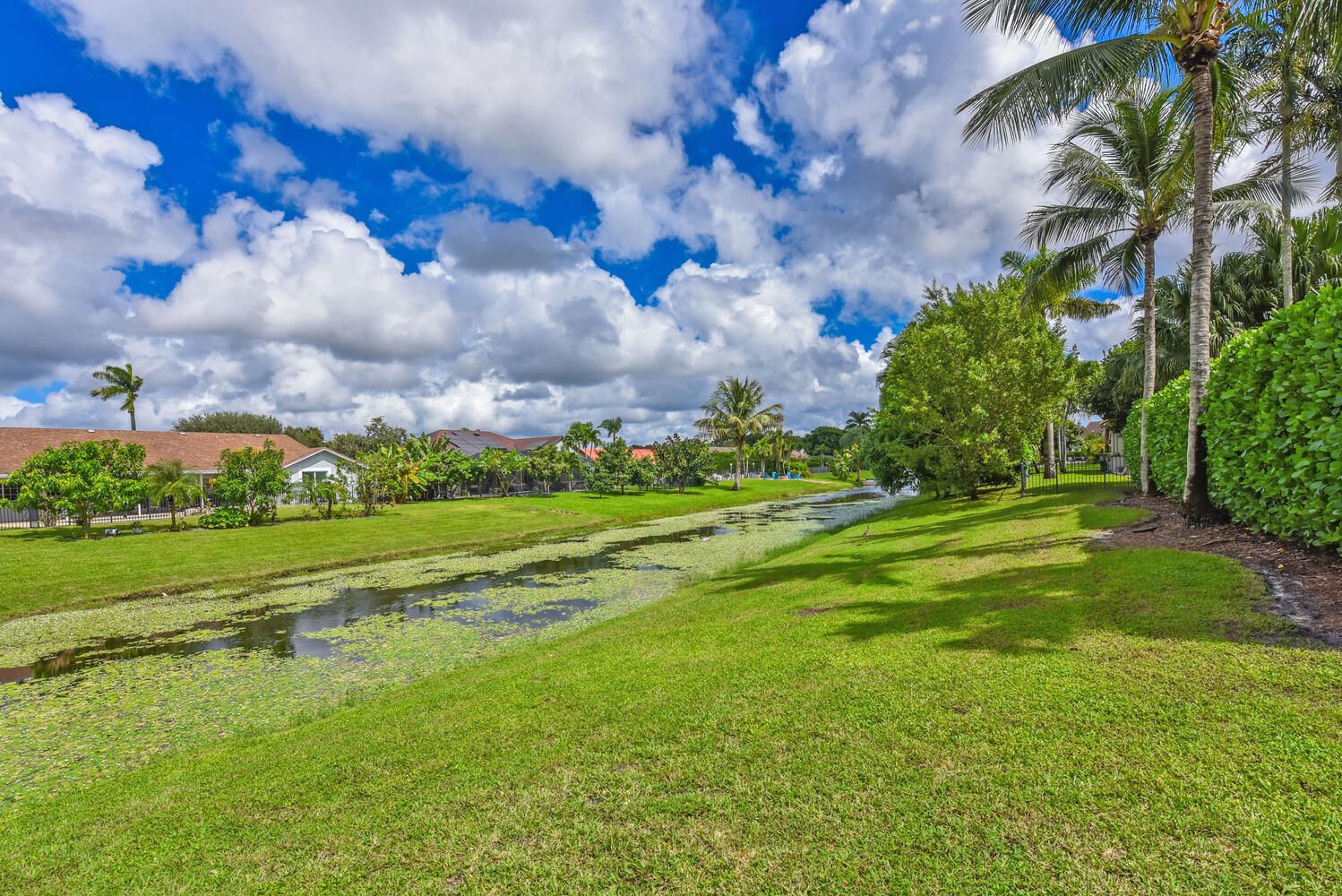 MLS #RX-11131281 image #53