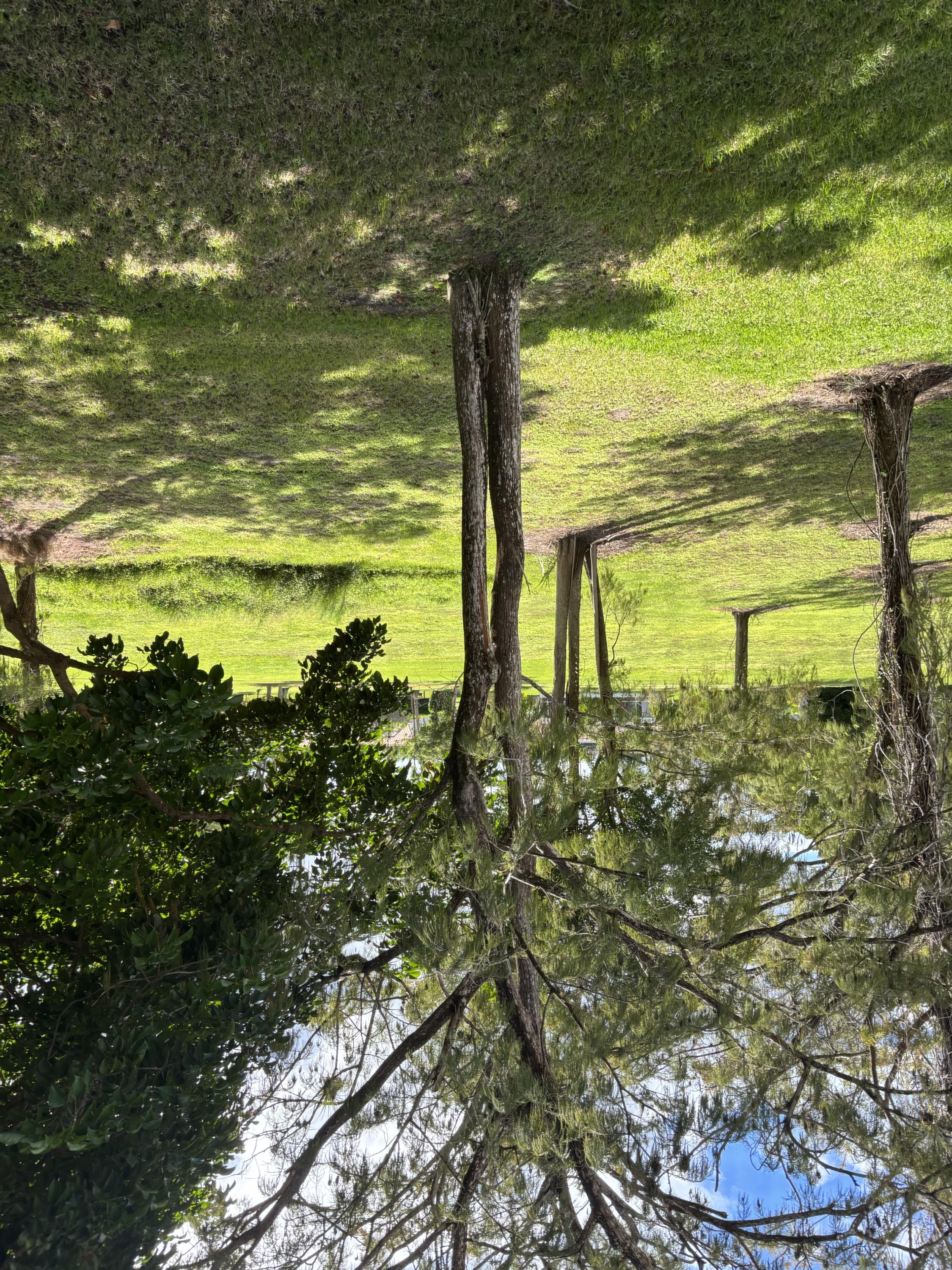 MLS #RX-11131348 image #33