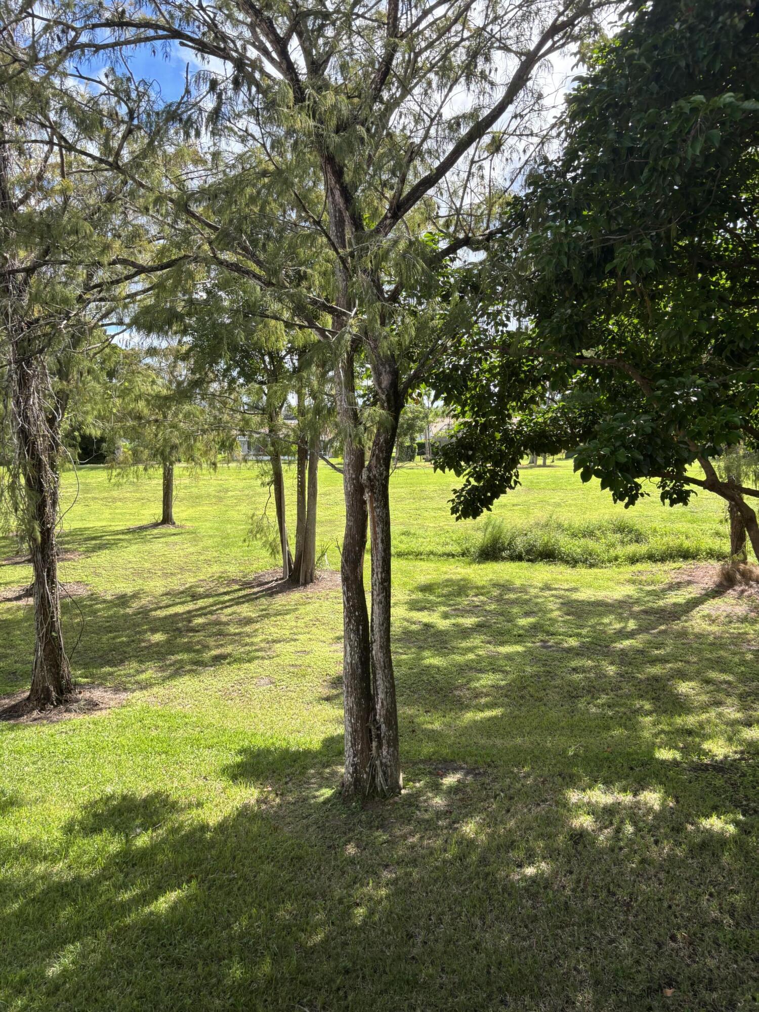 MLS #RX-11131348 image #34