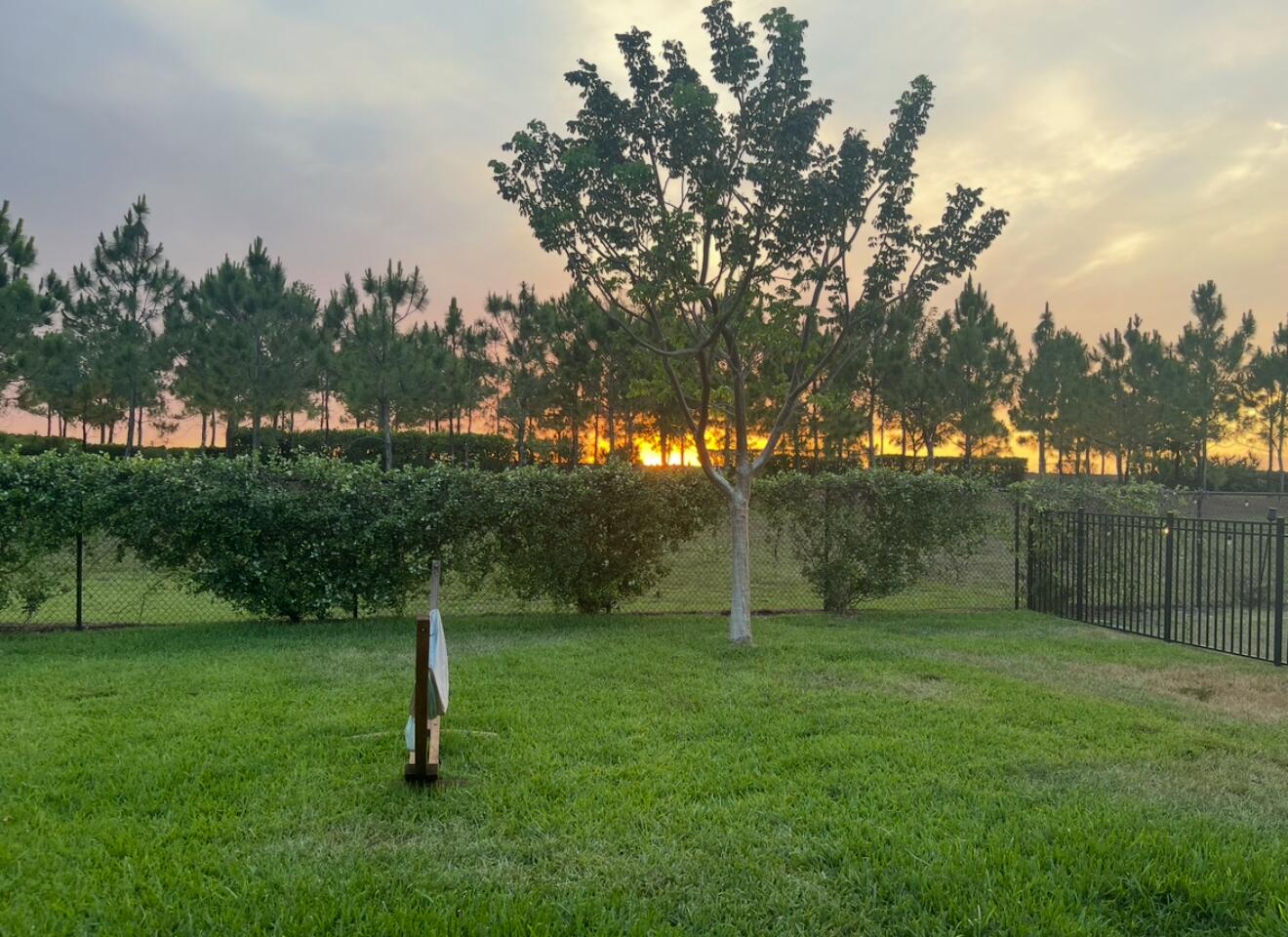 MLS #RX-11131574 image #61