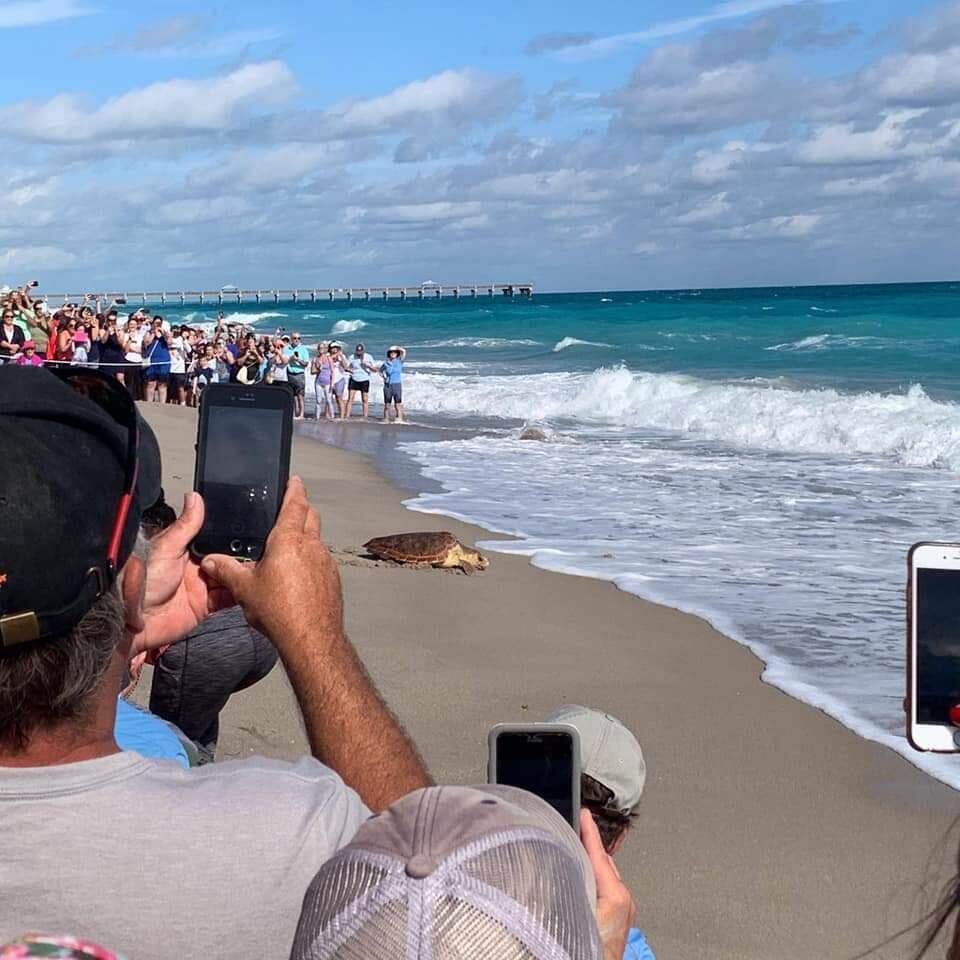 MLS #RX-11131589 image #23