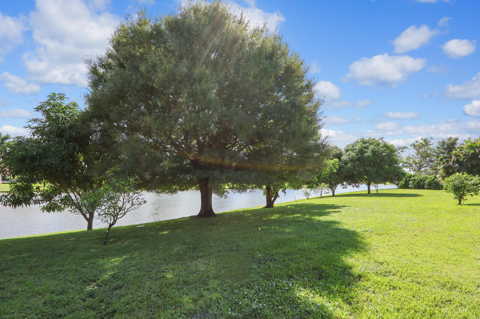 MLS #RX-11131964 image #22