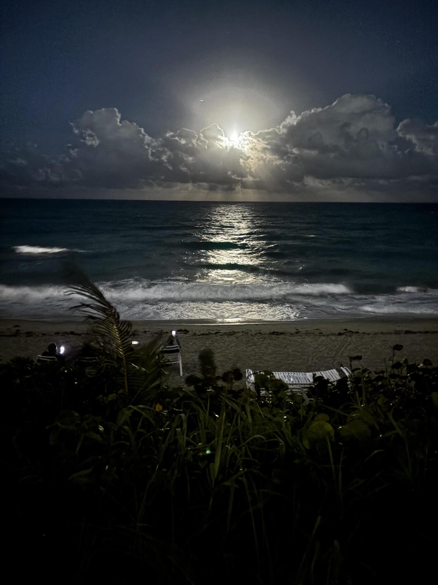 MLS #RX-10570545 image #30