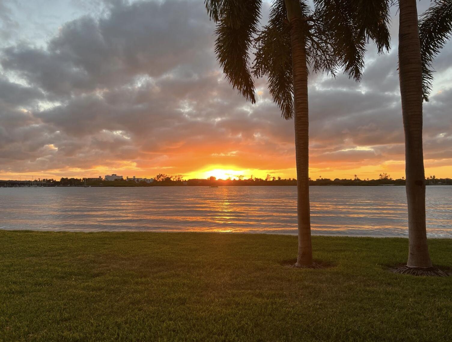 MLS #RX-11132449 image #32