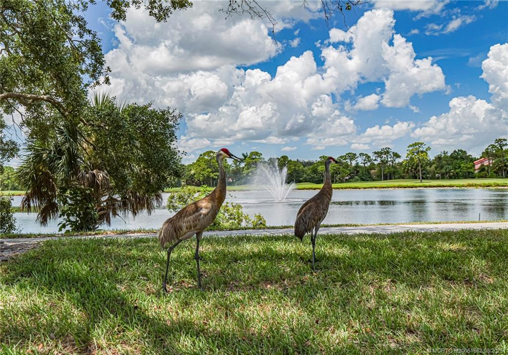 MLS #RX-11132496 image #39