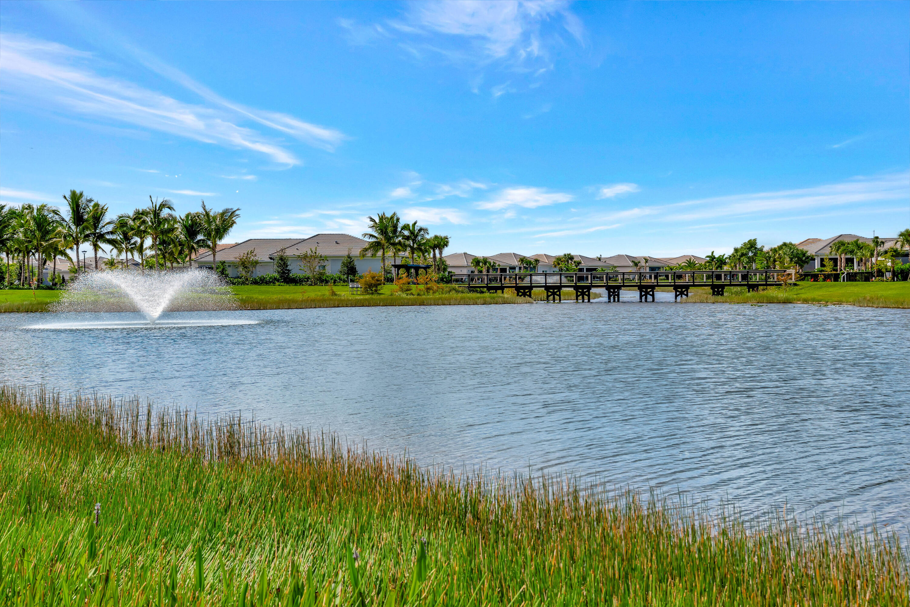 MLS #RX-11132656 image #68