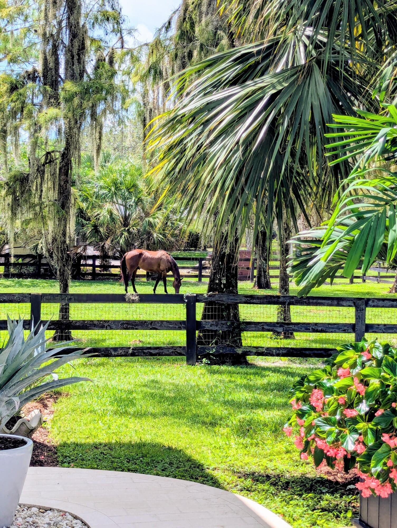 MLS #RX-11132729 image #54