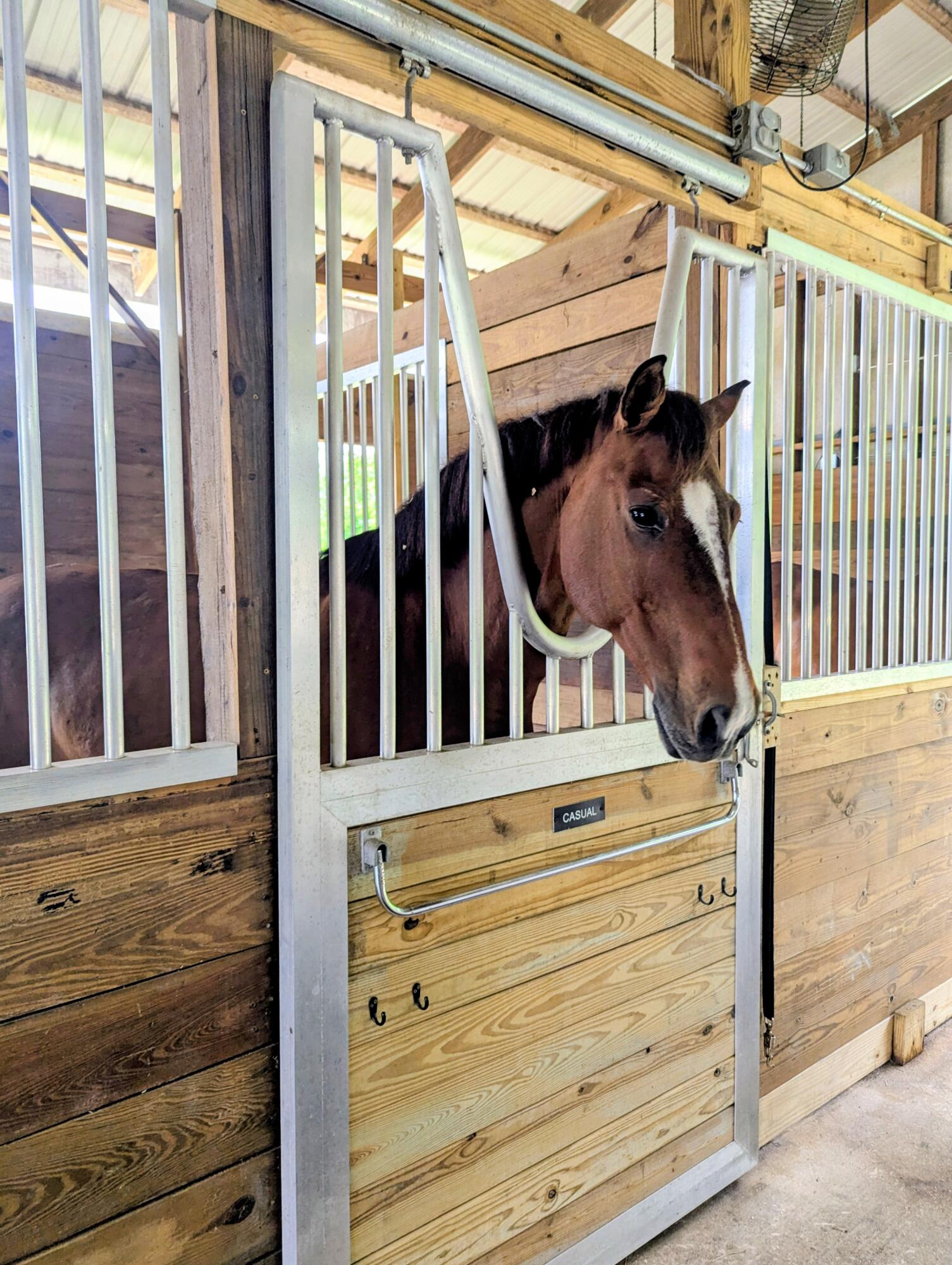 MLS #RX-11132729 image #58