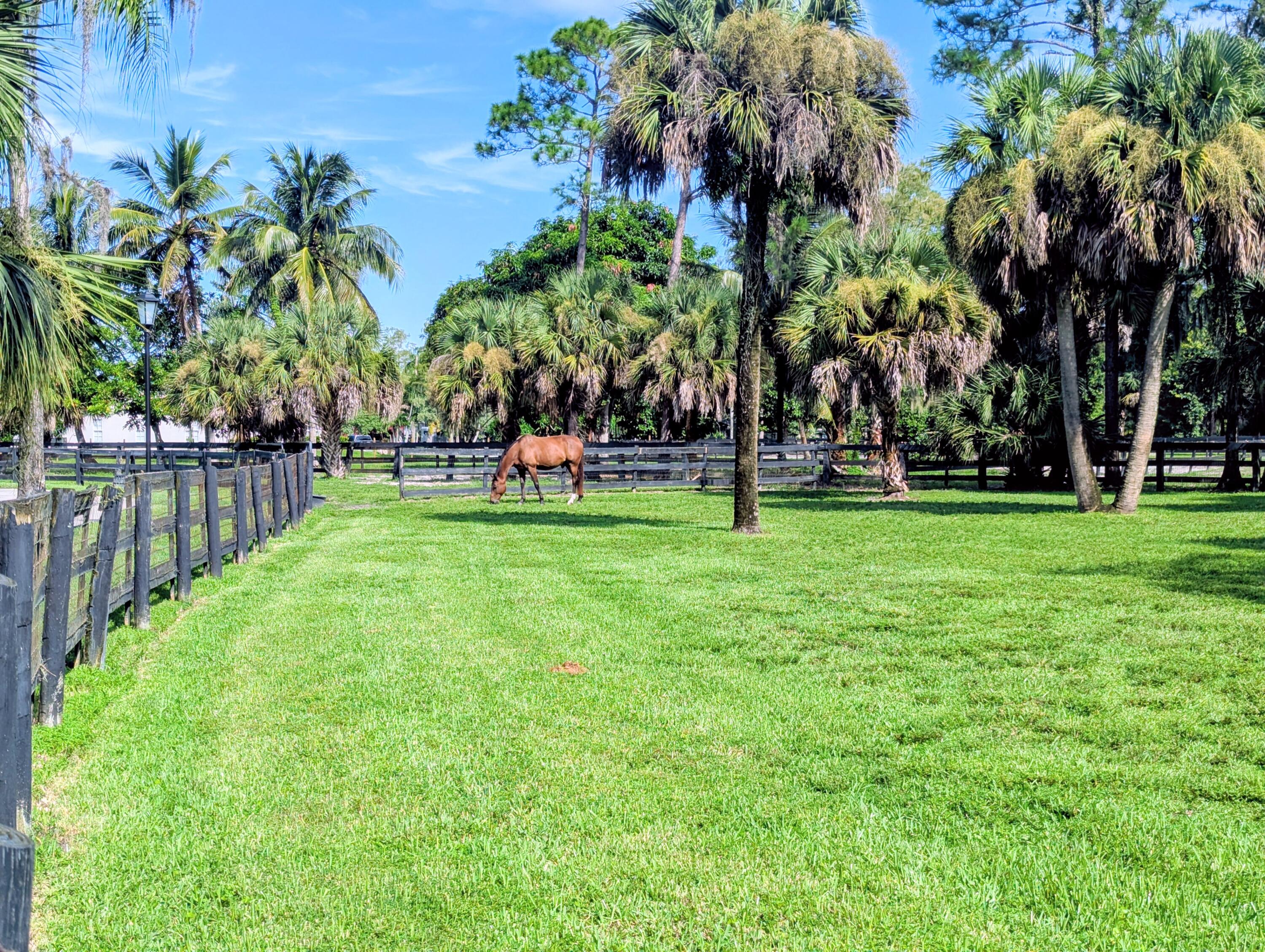 MLS #RX-11132729 image #7