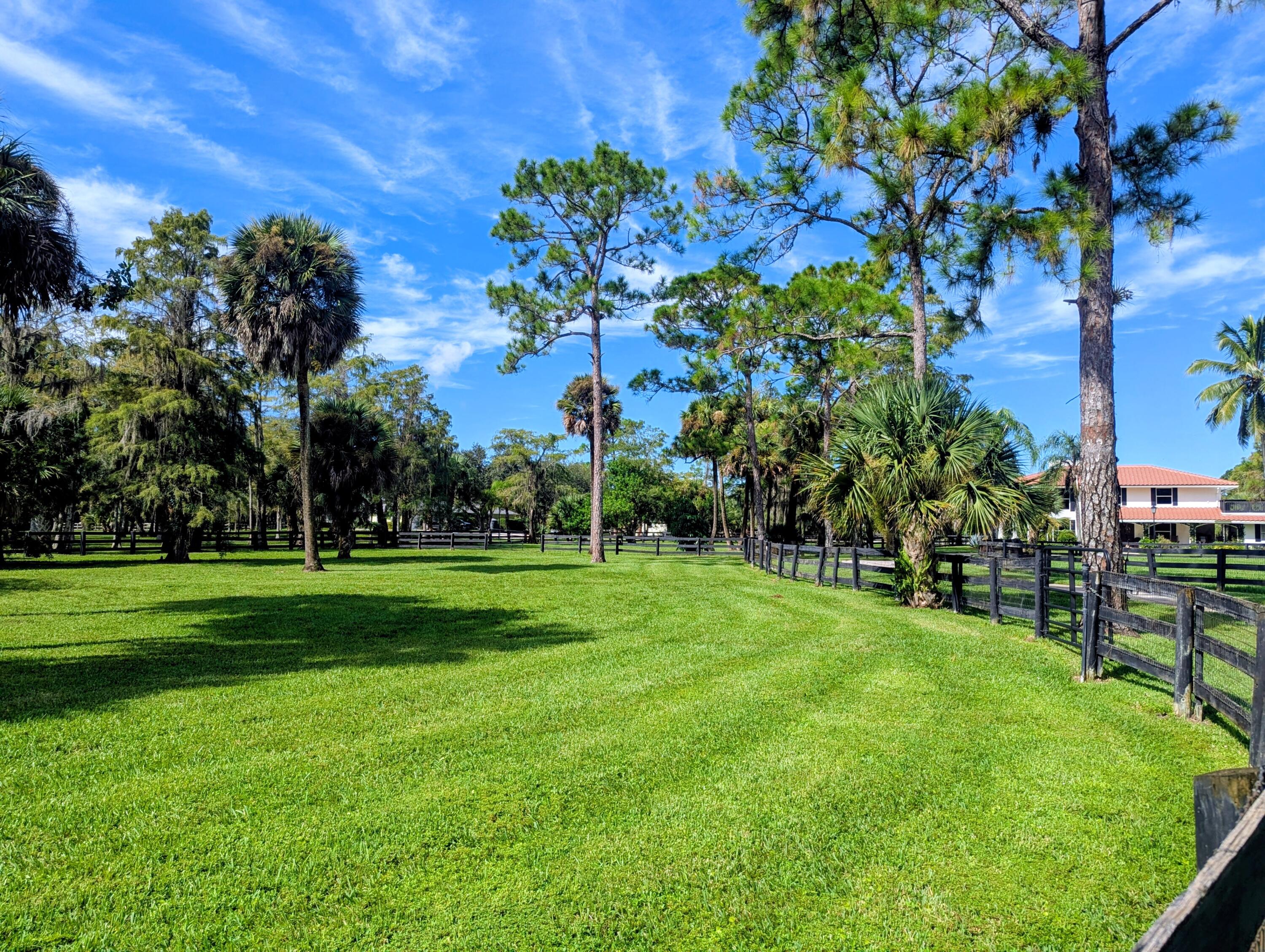 MLS #RX-11132729 image #8