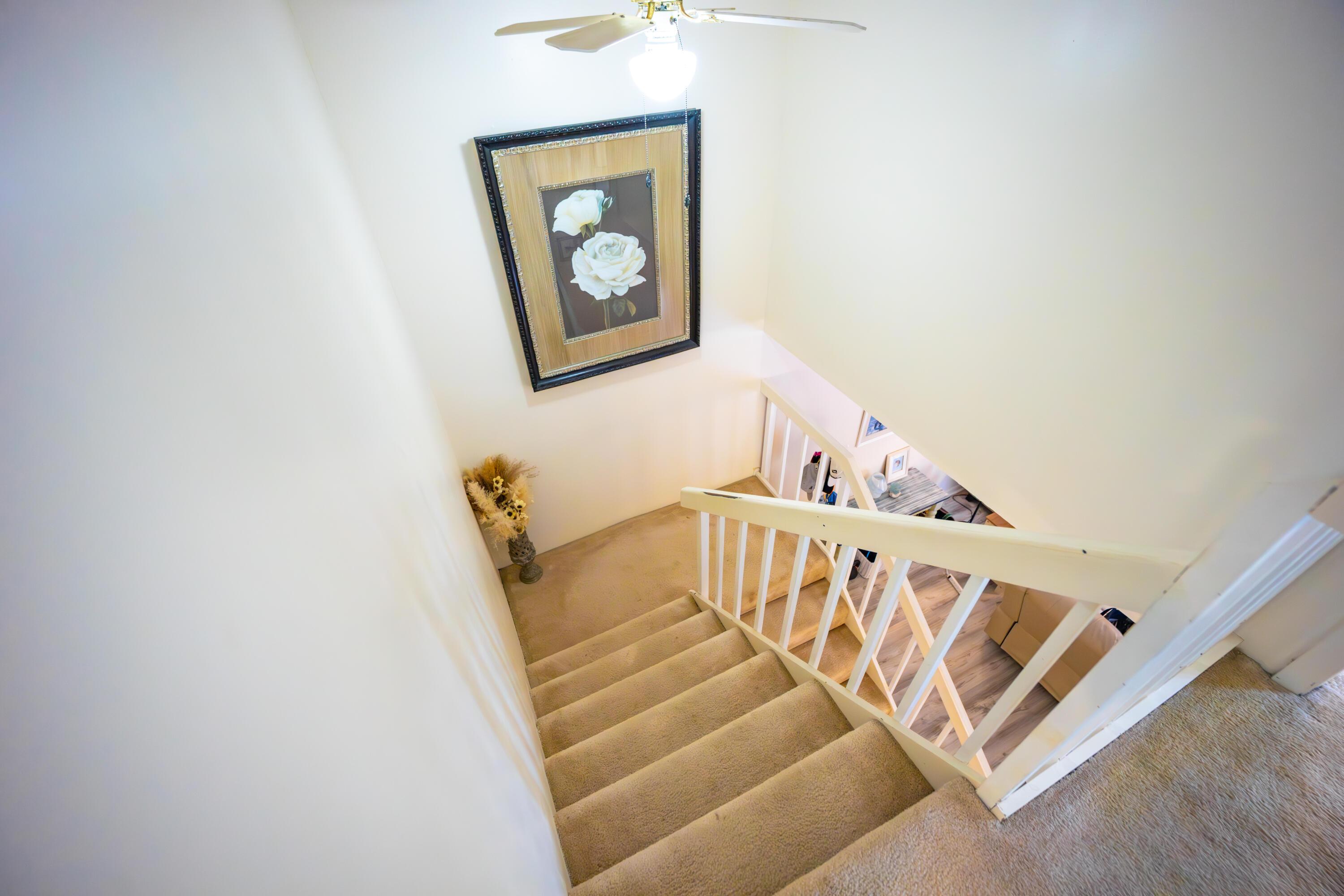 MLS #RX-11133465 image #8