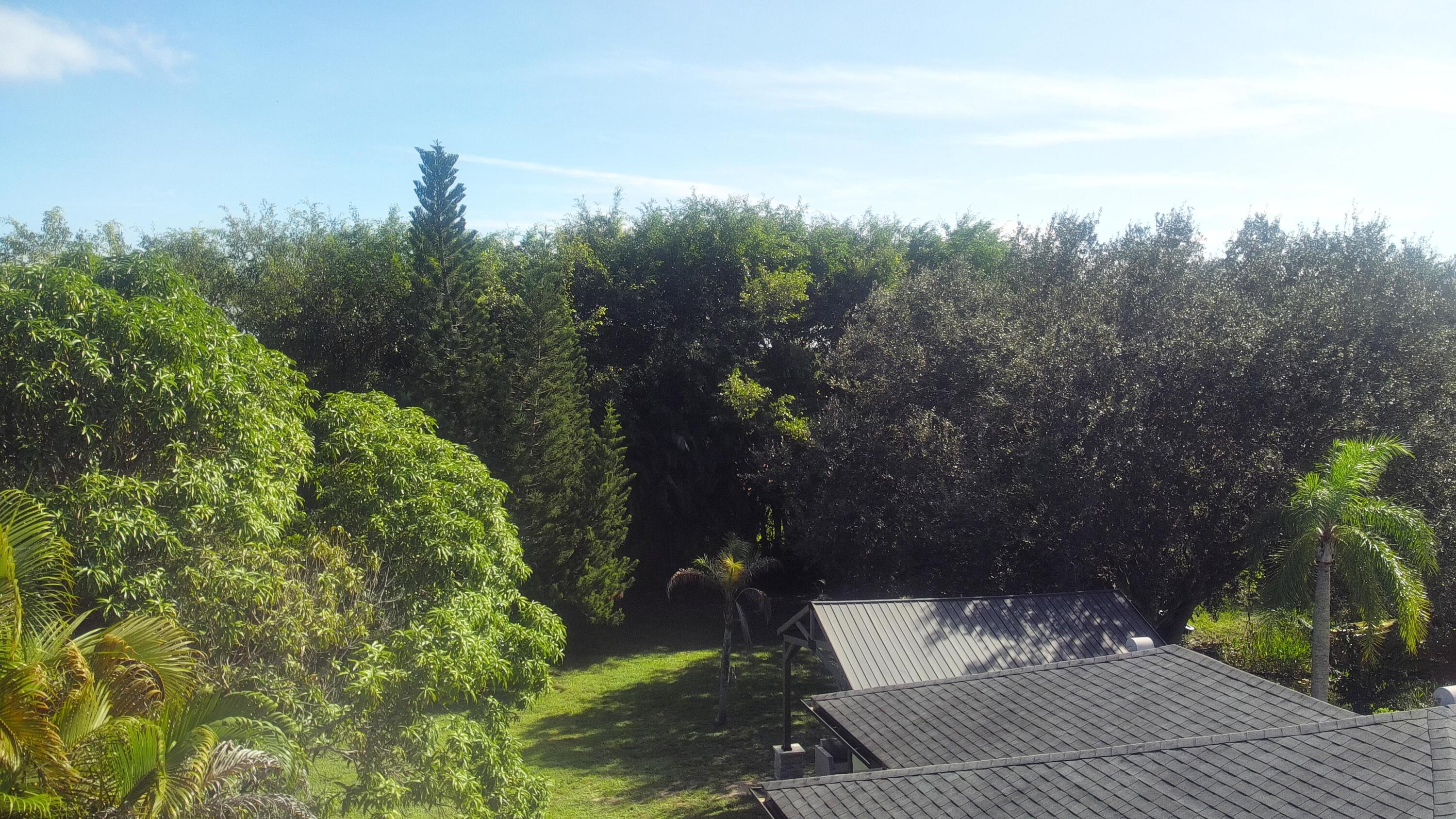 MLS #RX-11133682 image #37