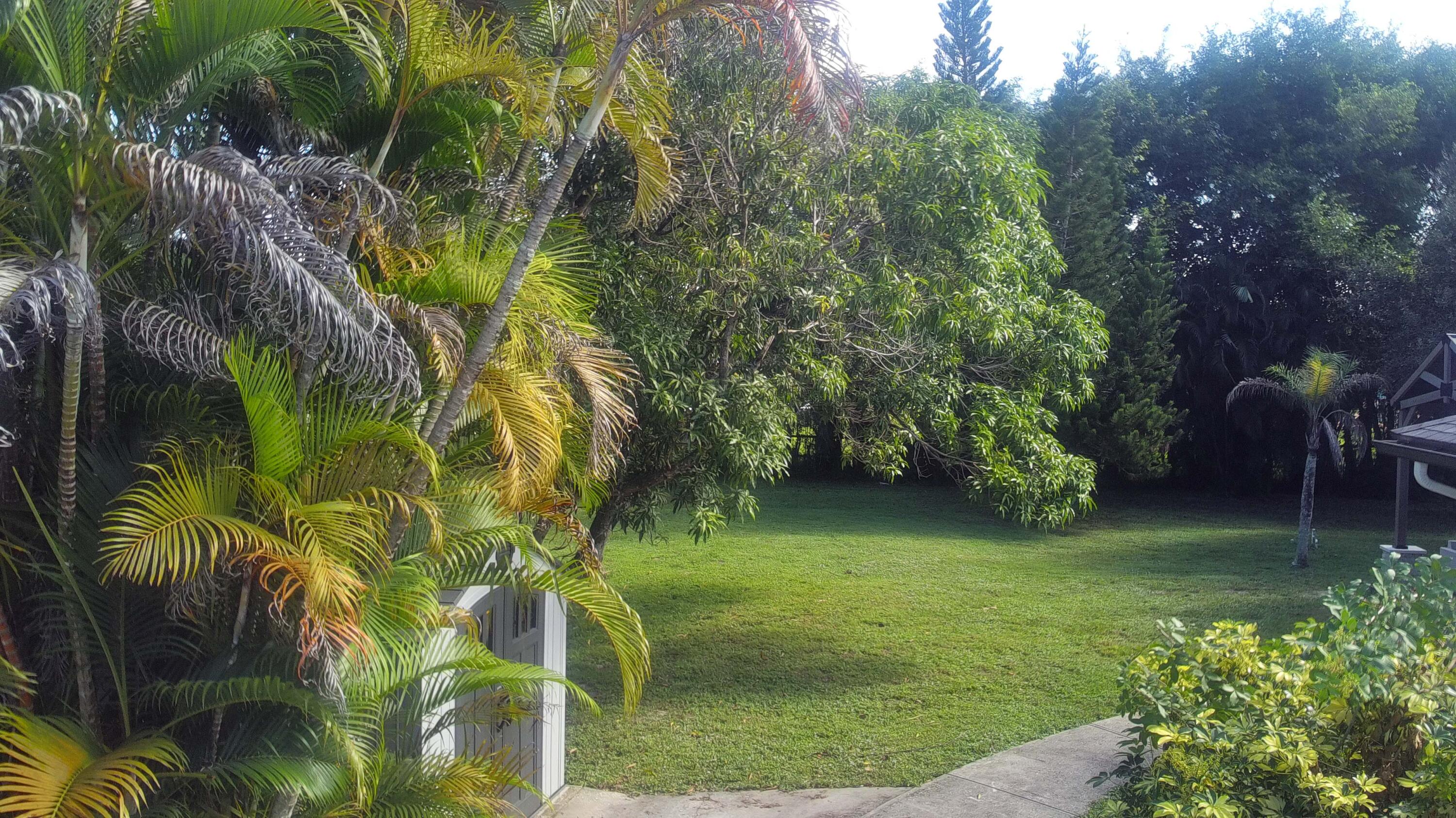 MLS #RX-11133682 image #40