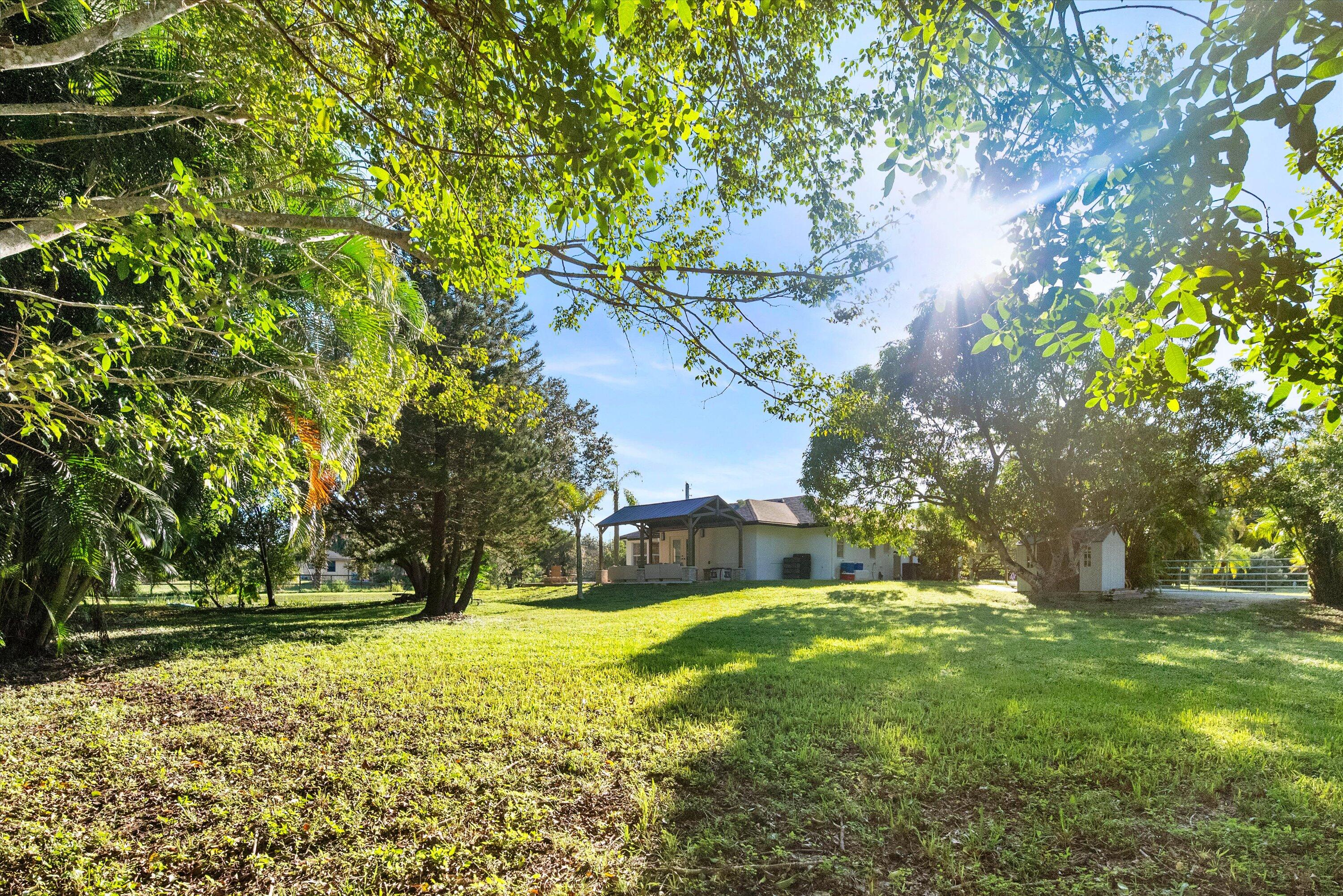 MLS #RX-11133682 image #9