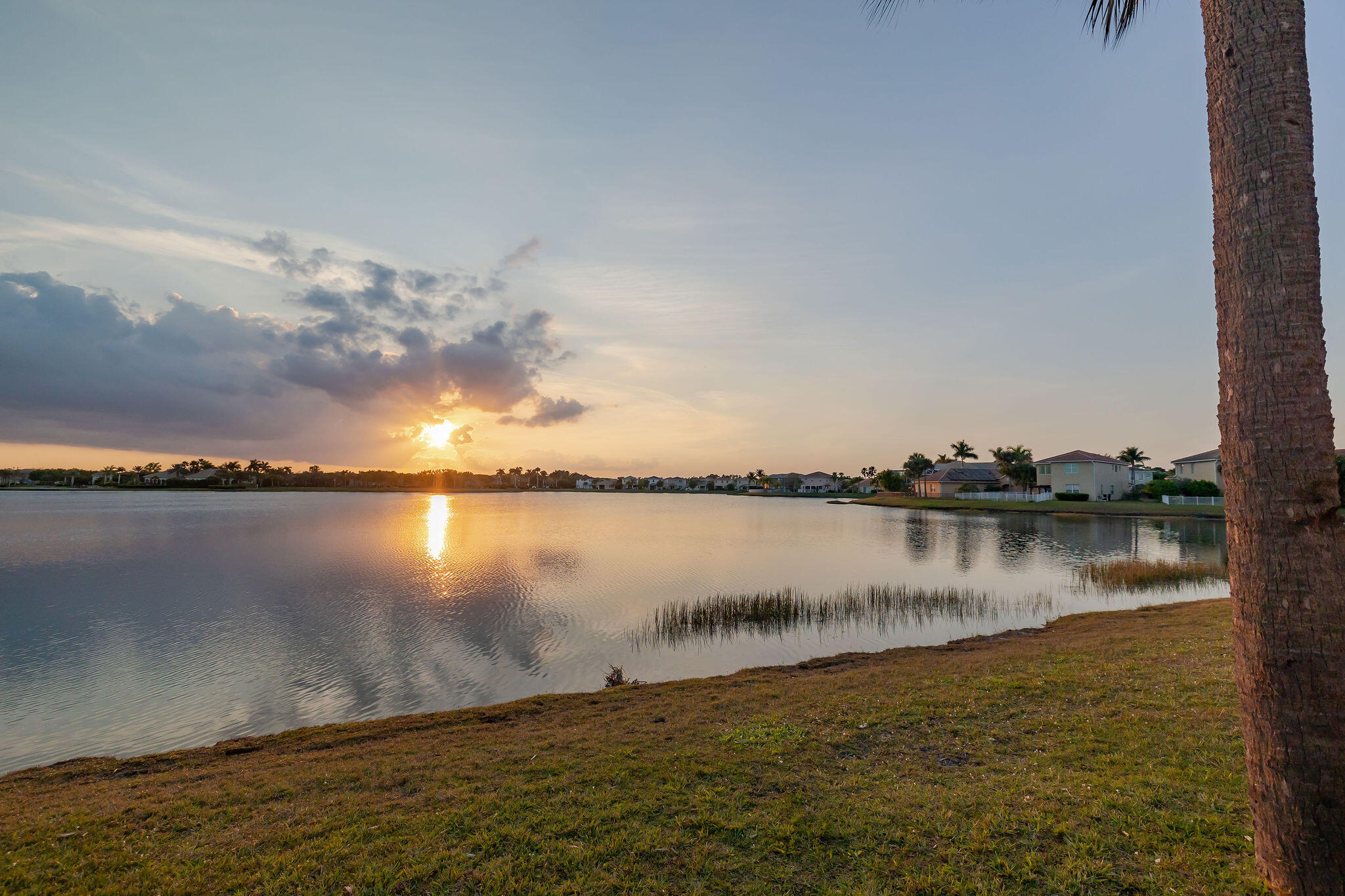MLS #RX-11133691 image #43