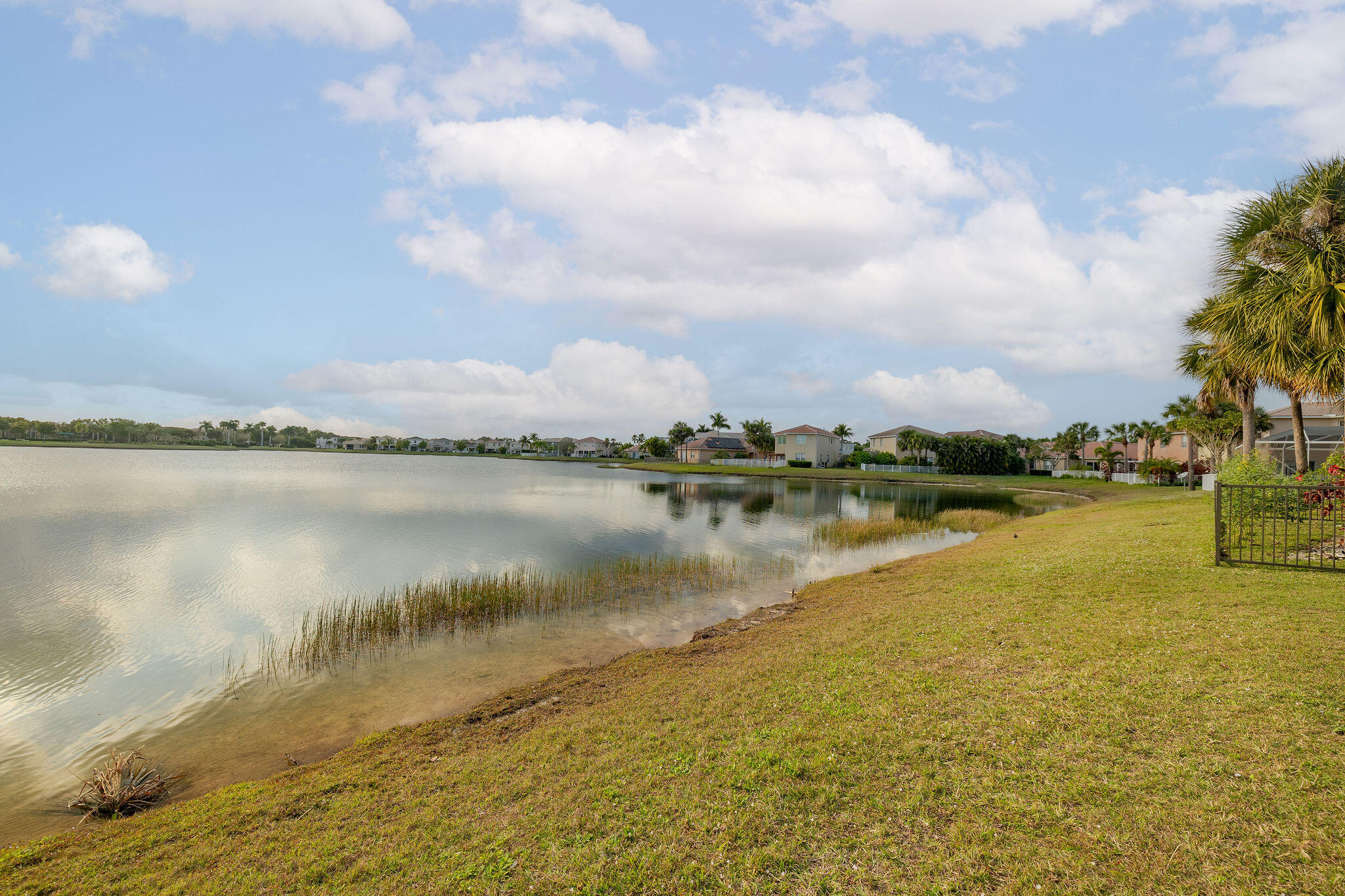 MLS #RX-11133691 image #5