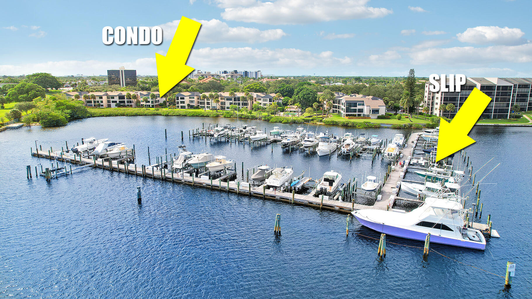 MLS #RX-11133783 image #1