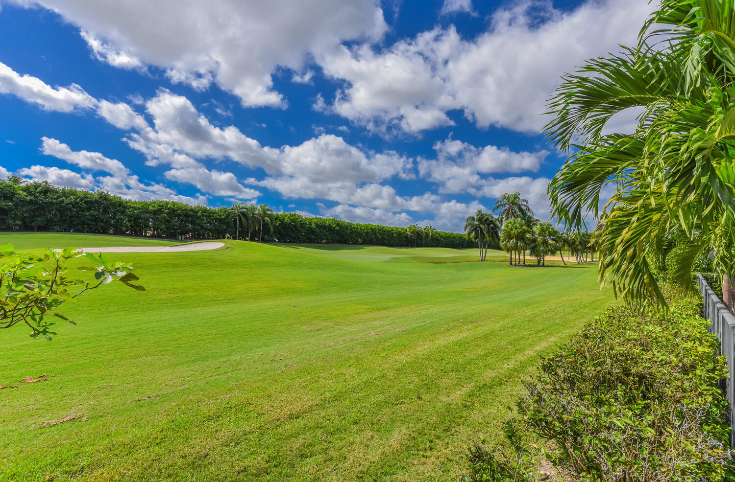 MLS #RX-11133784 image #35