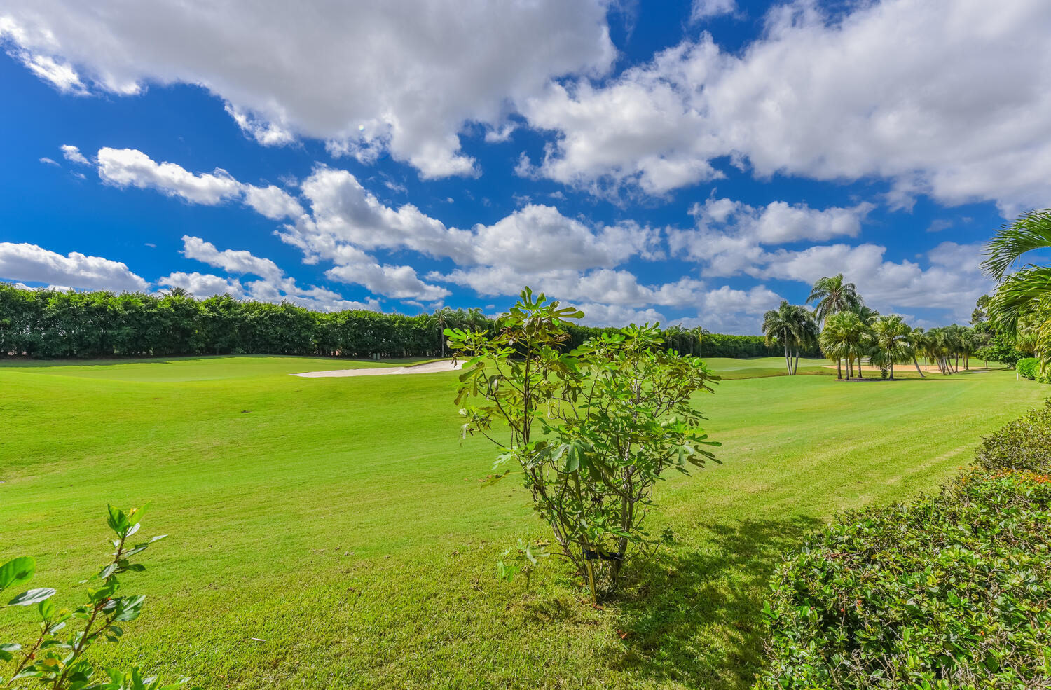 MLS #RX-11133784 image #40