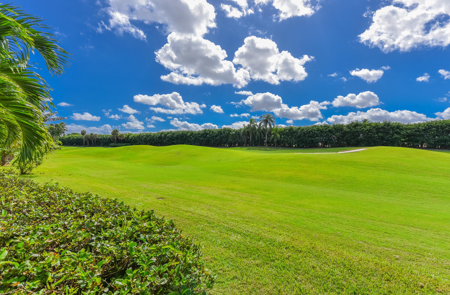 MLS #RX-11133784 image #41