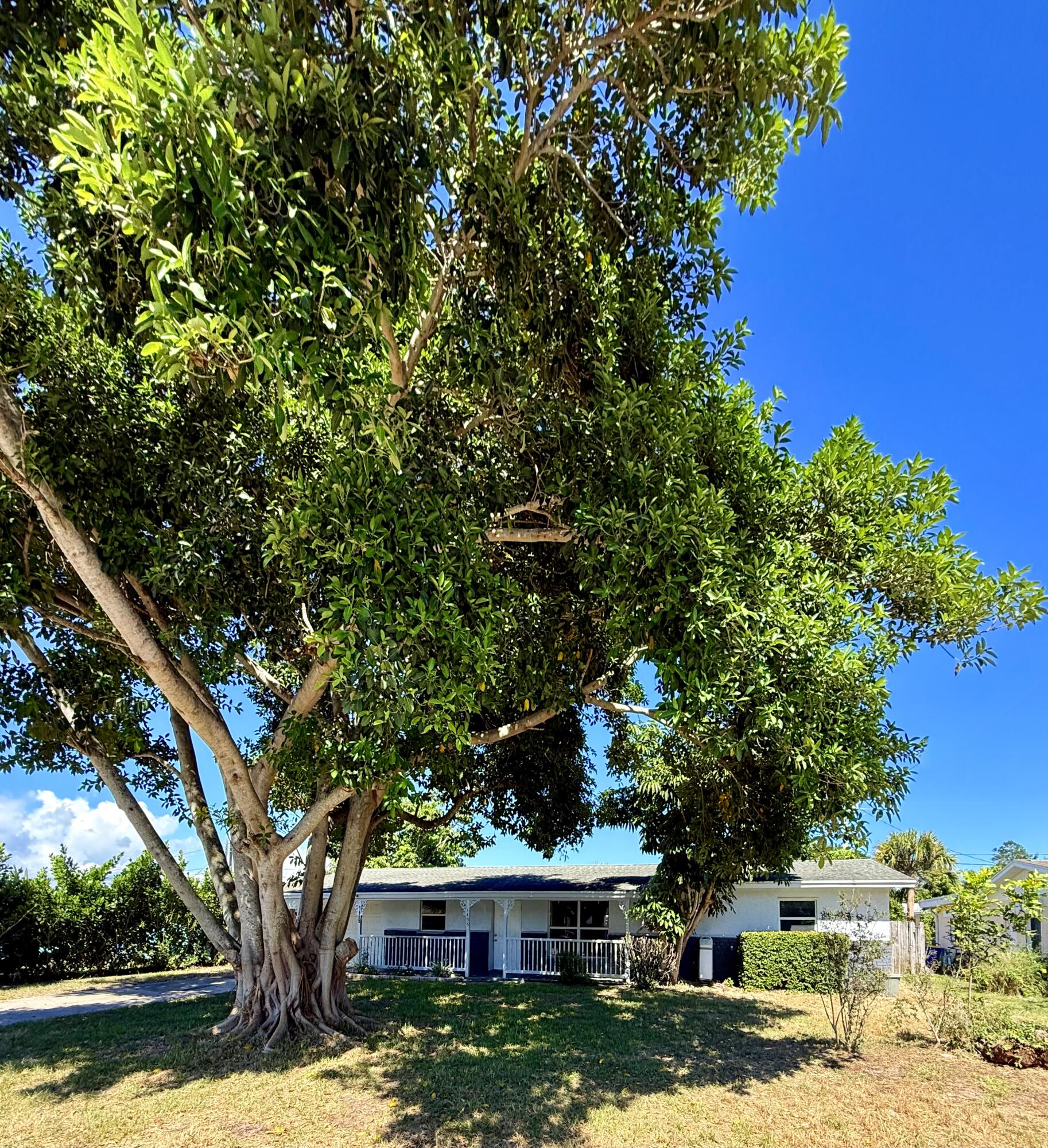 MLS #RX-11133792 image #5