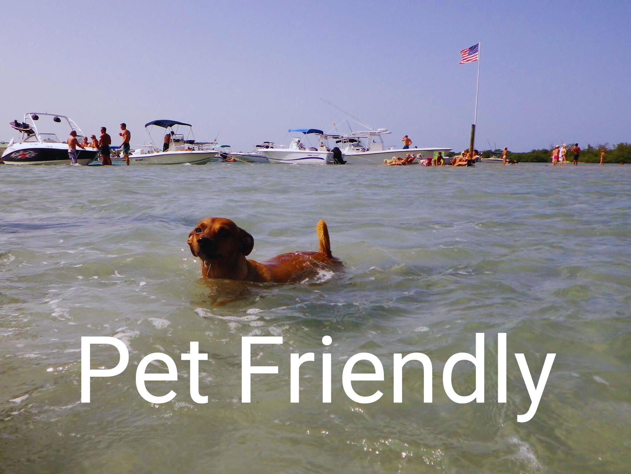 MLS #RX-11133825 image #1