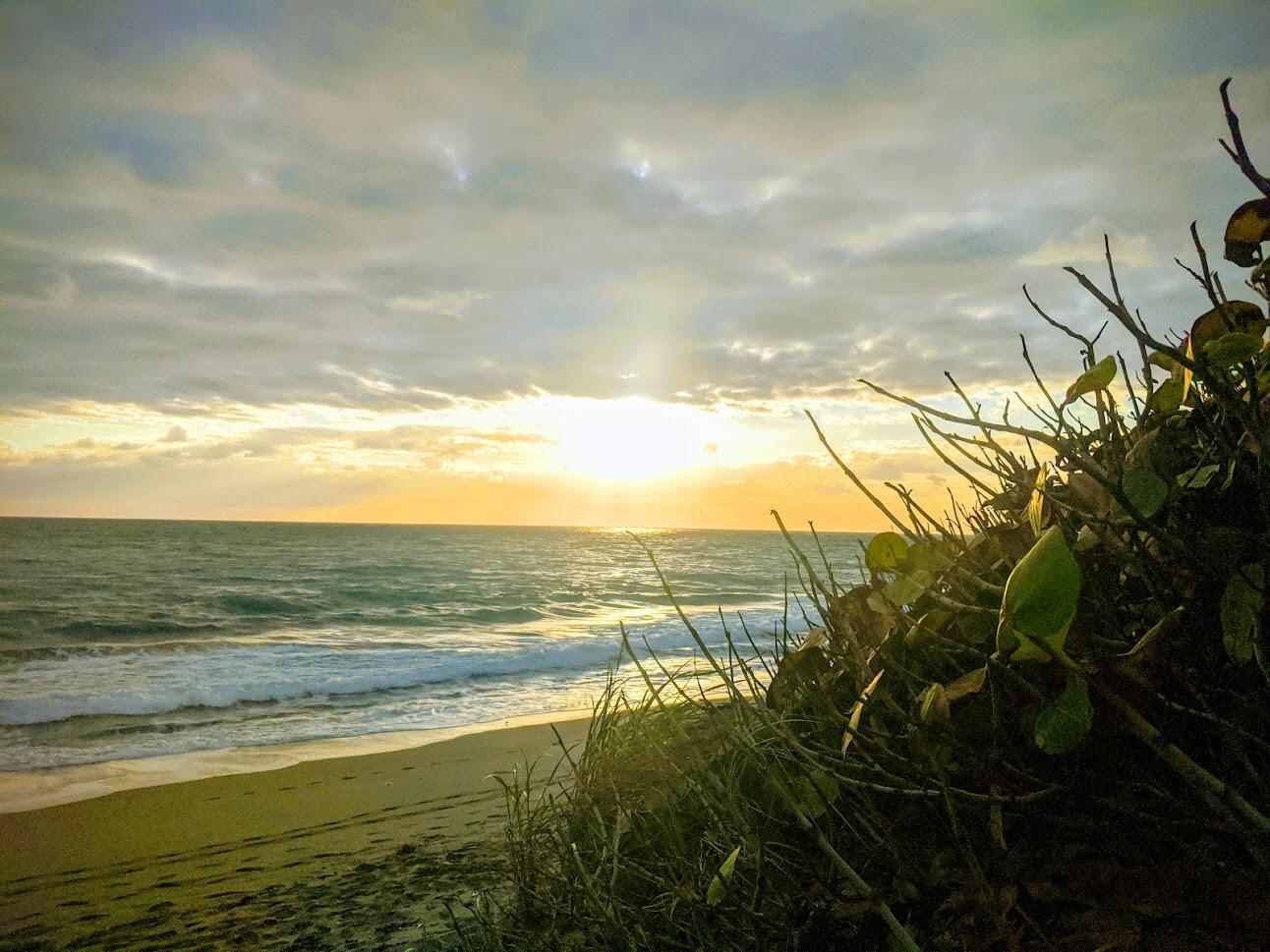 MLS #RX-11133825 image #36