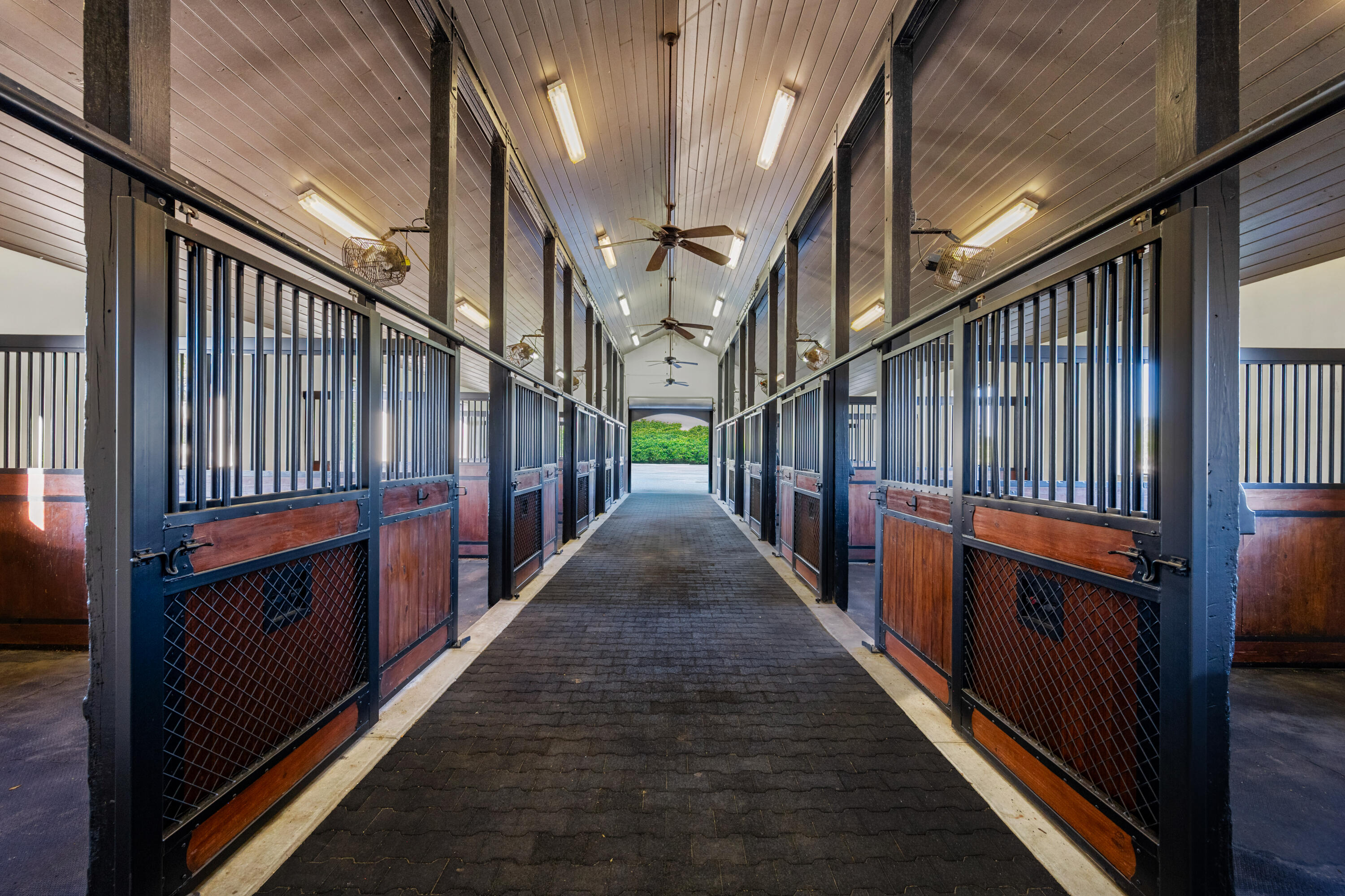 MLS #RX-11133868 image #14