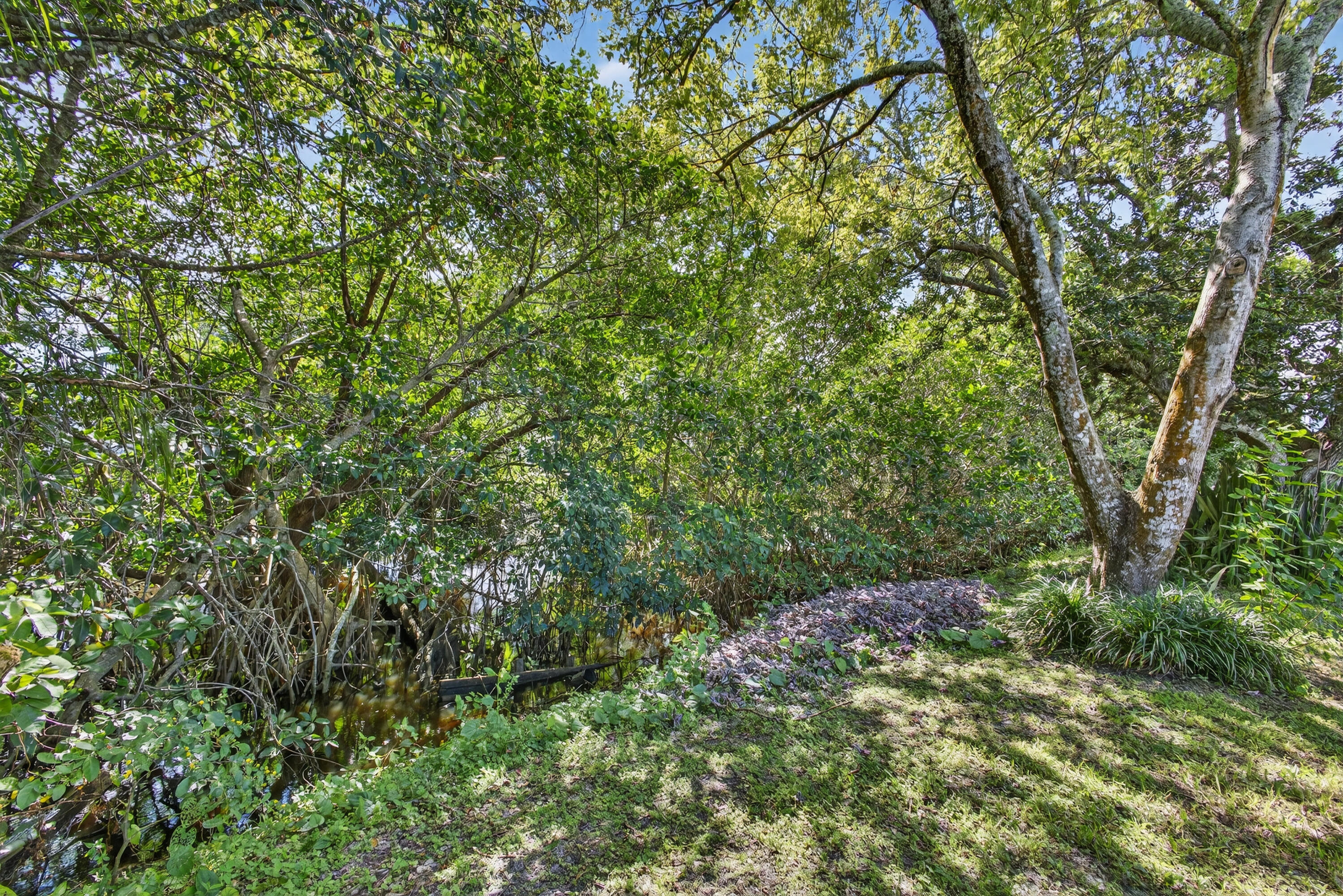 MLS #RX-11133875 image #53